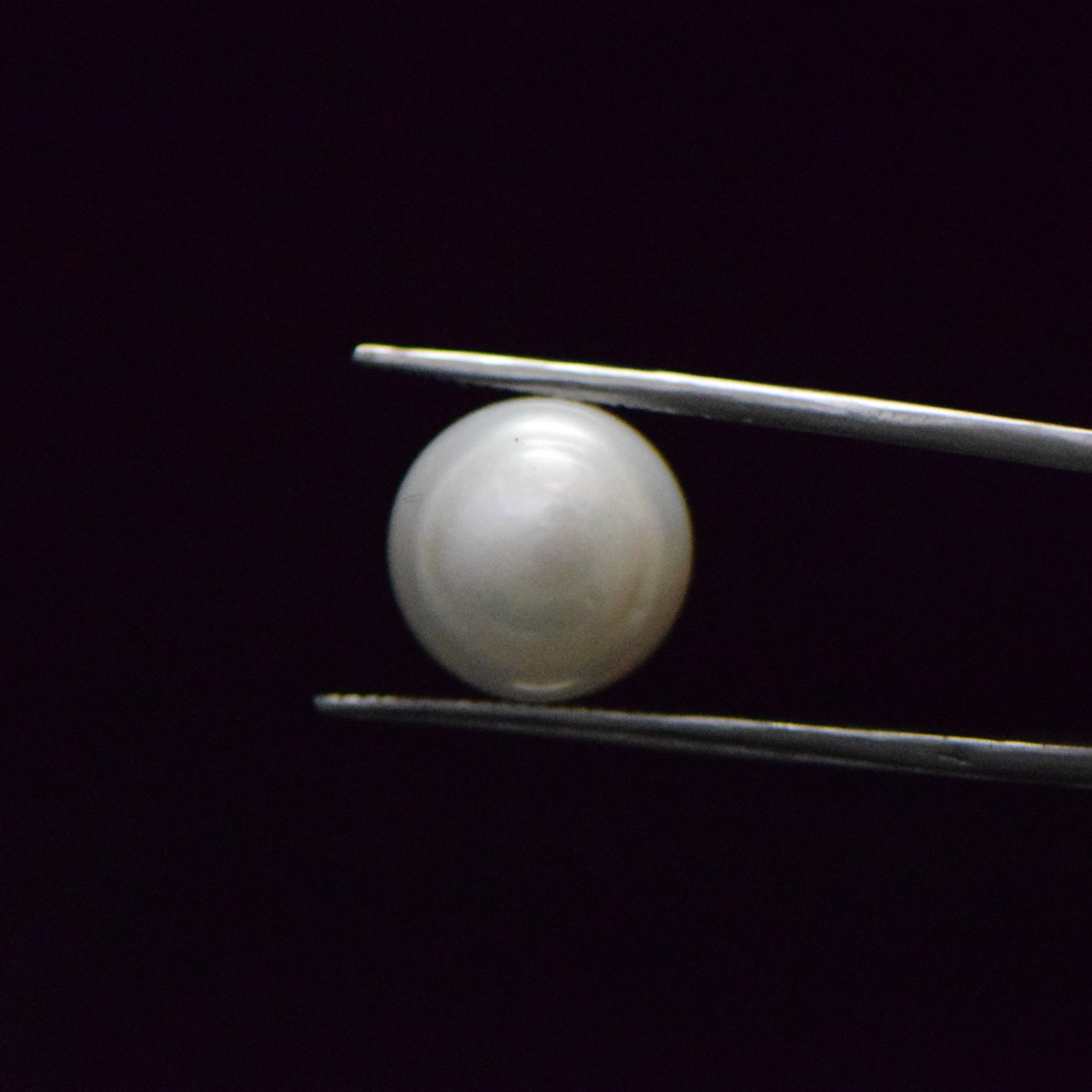 Fresh Water Pearl - 12.92 Carat
