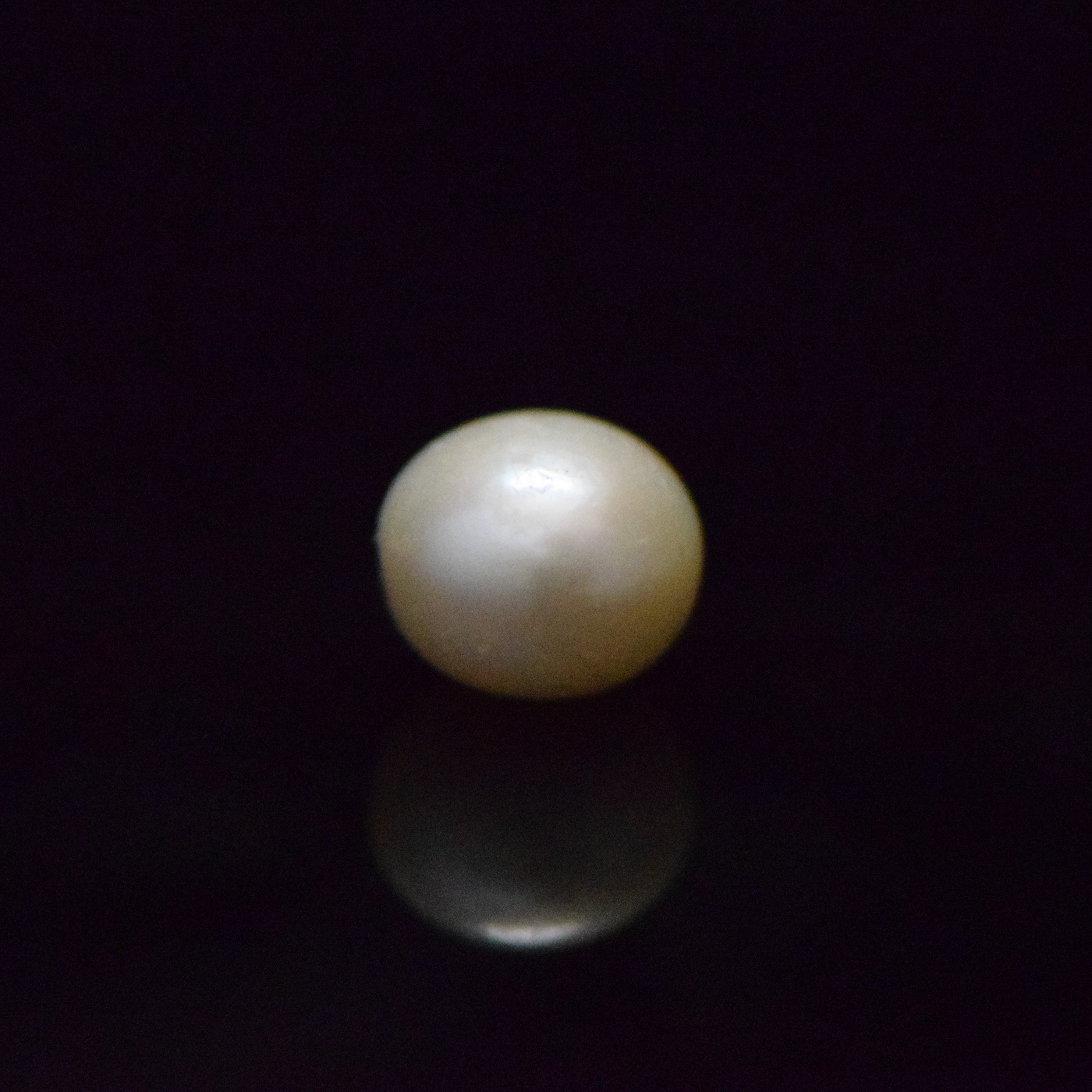 Fresh Water Pearl - 13.12 Carat