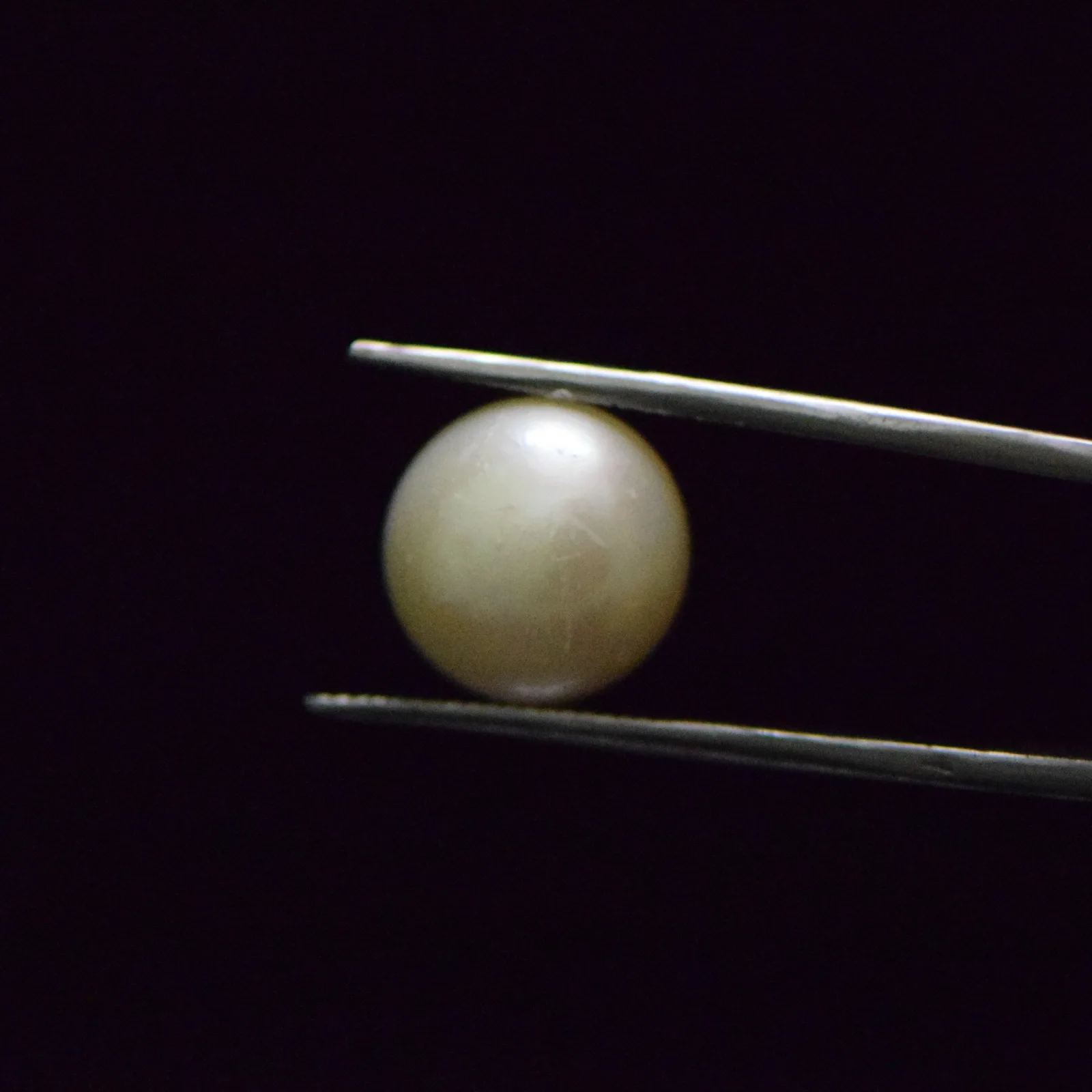 Fresh Water Pearl - 13.12 Carat