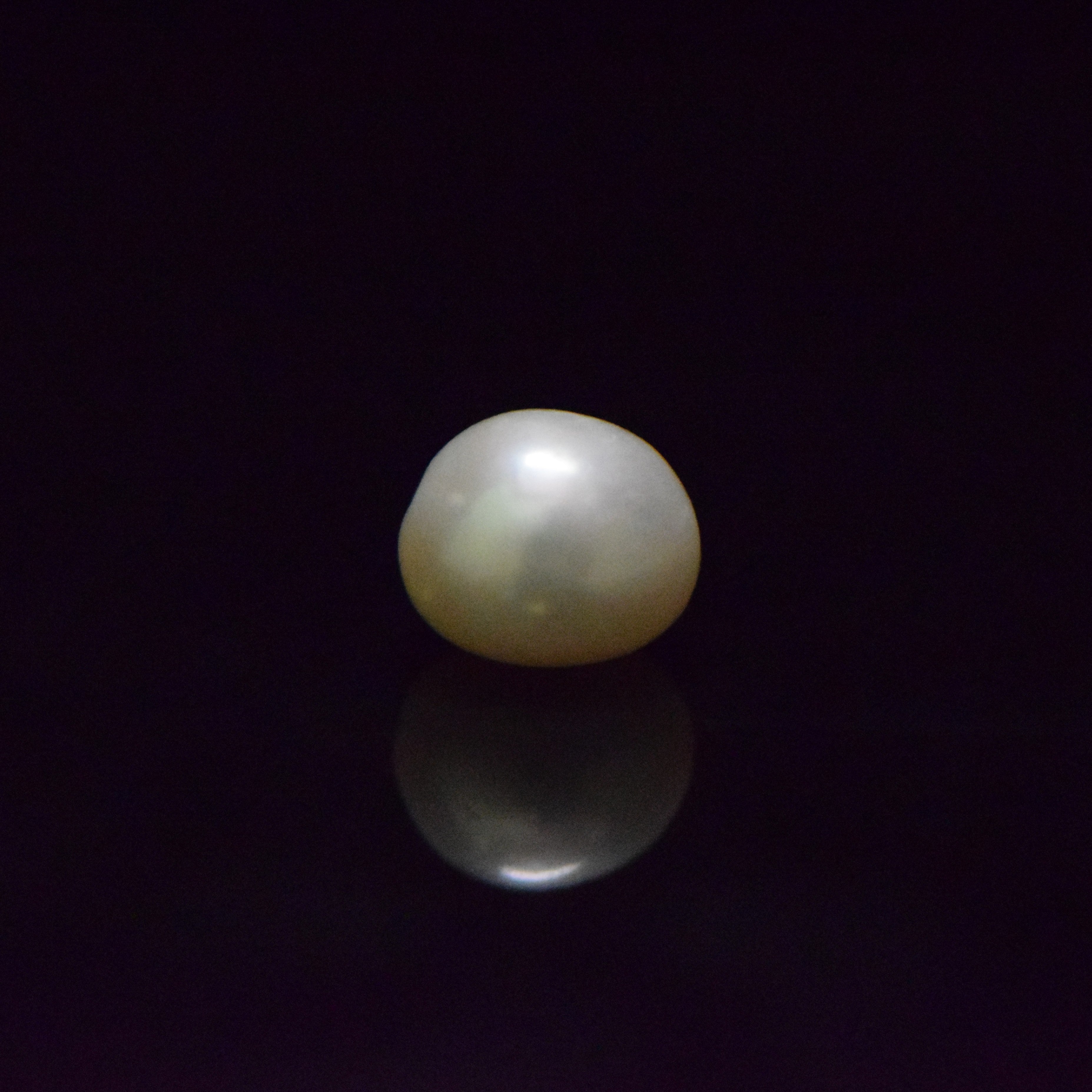 Fresh Water Pearl - 13.03 Carat