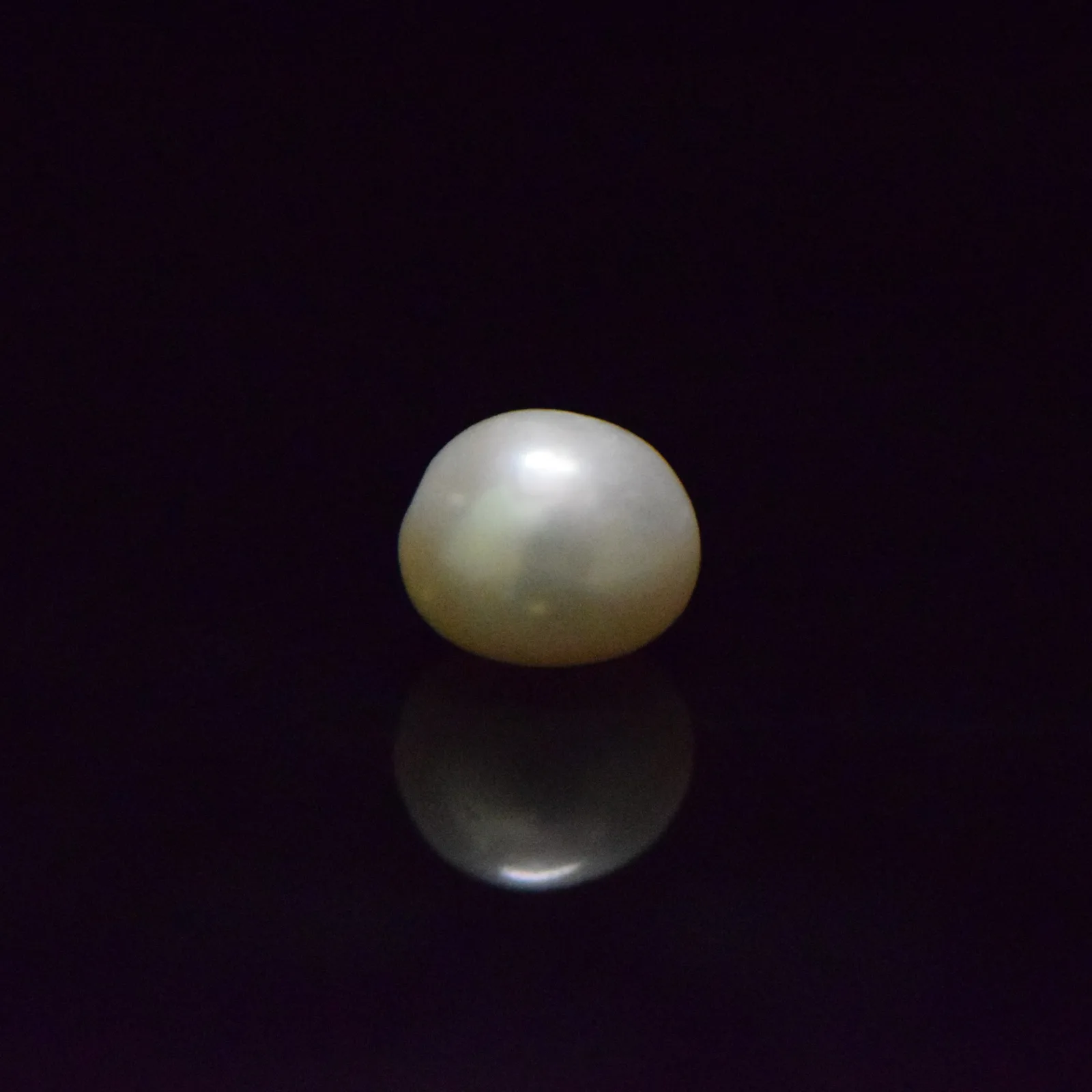 Fresh Water Pearl - 13.03 Carat