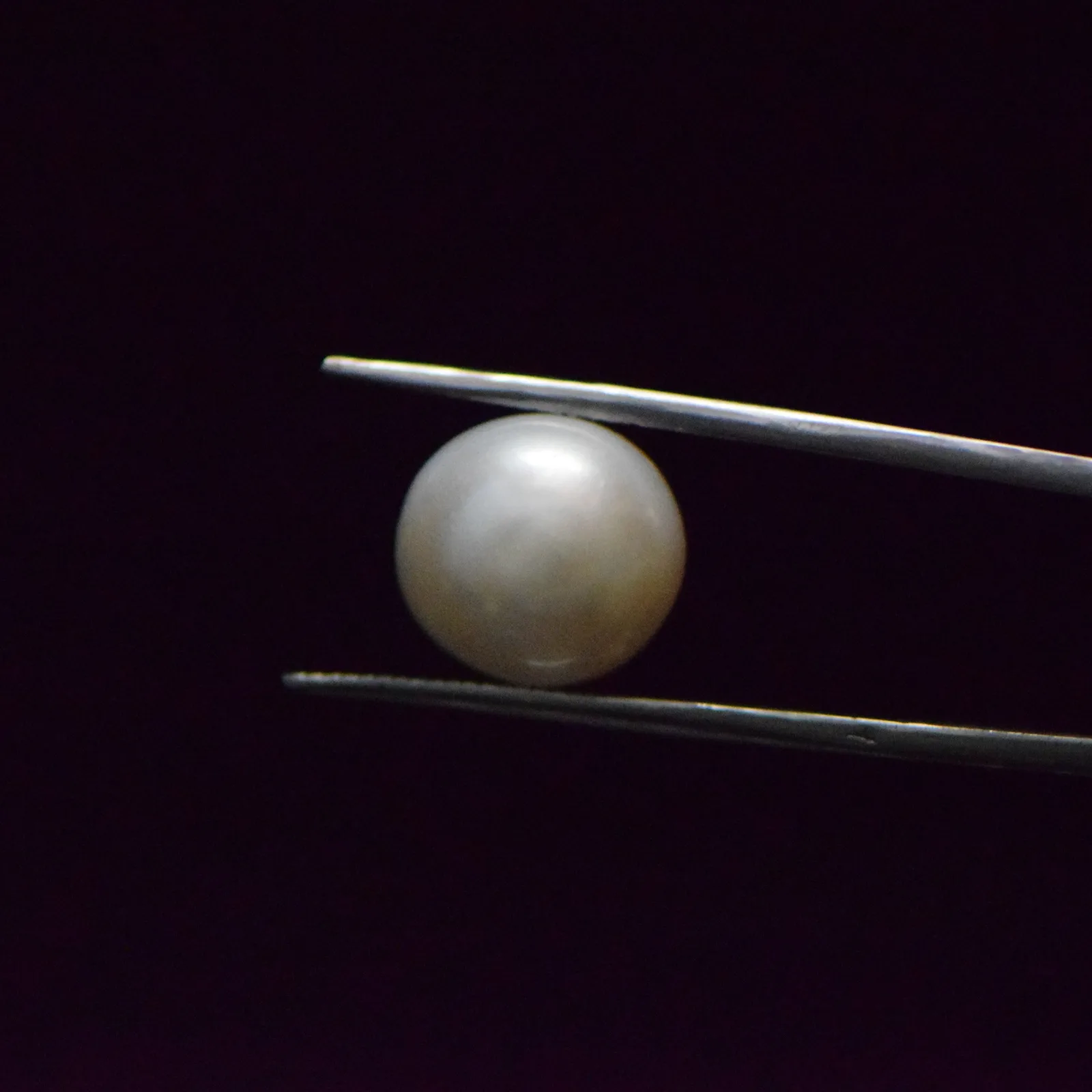 Fresh Water Pearl - 13.03 Carat