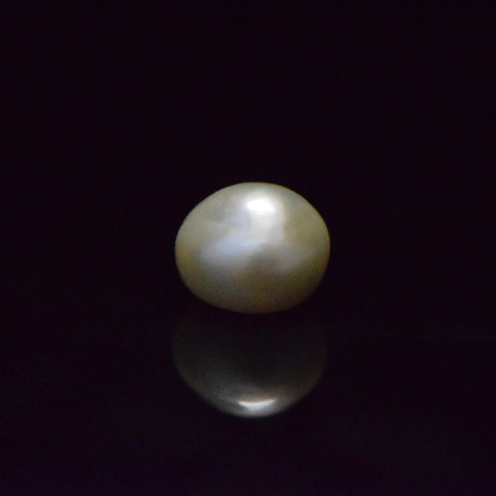 Fresh Water Pearl - 14.54 Carat