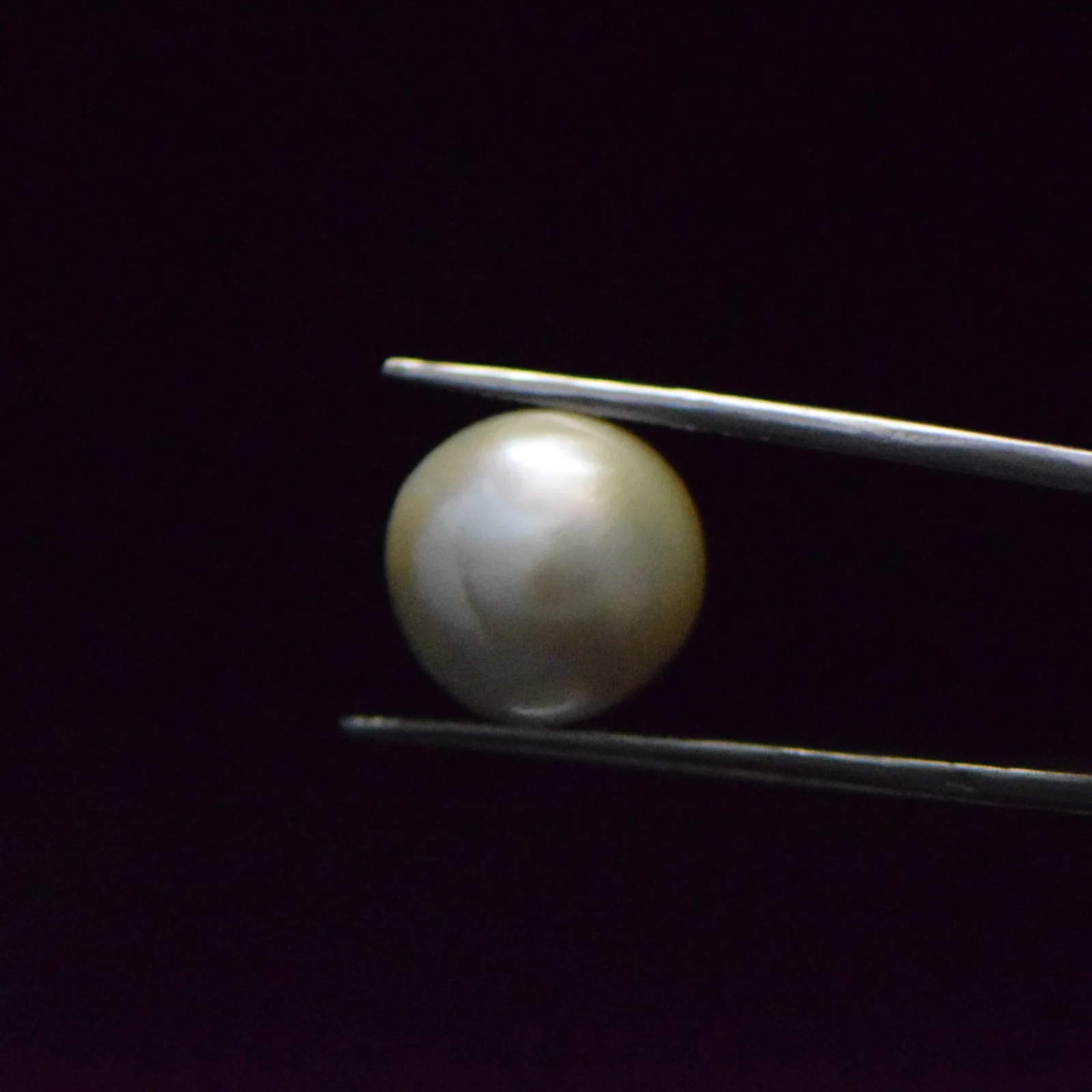 Fresh Water Pearl - 14.54 Carat