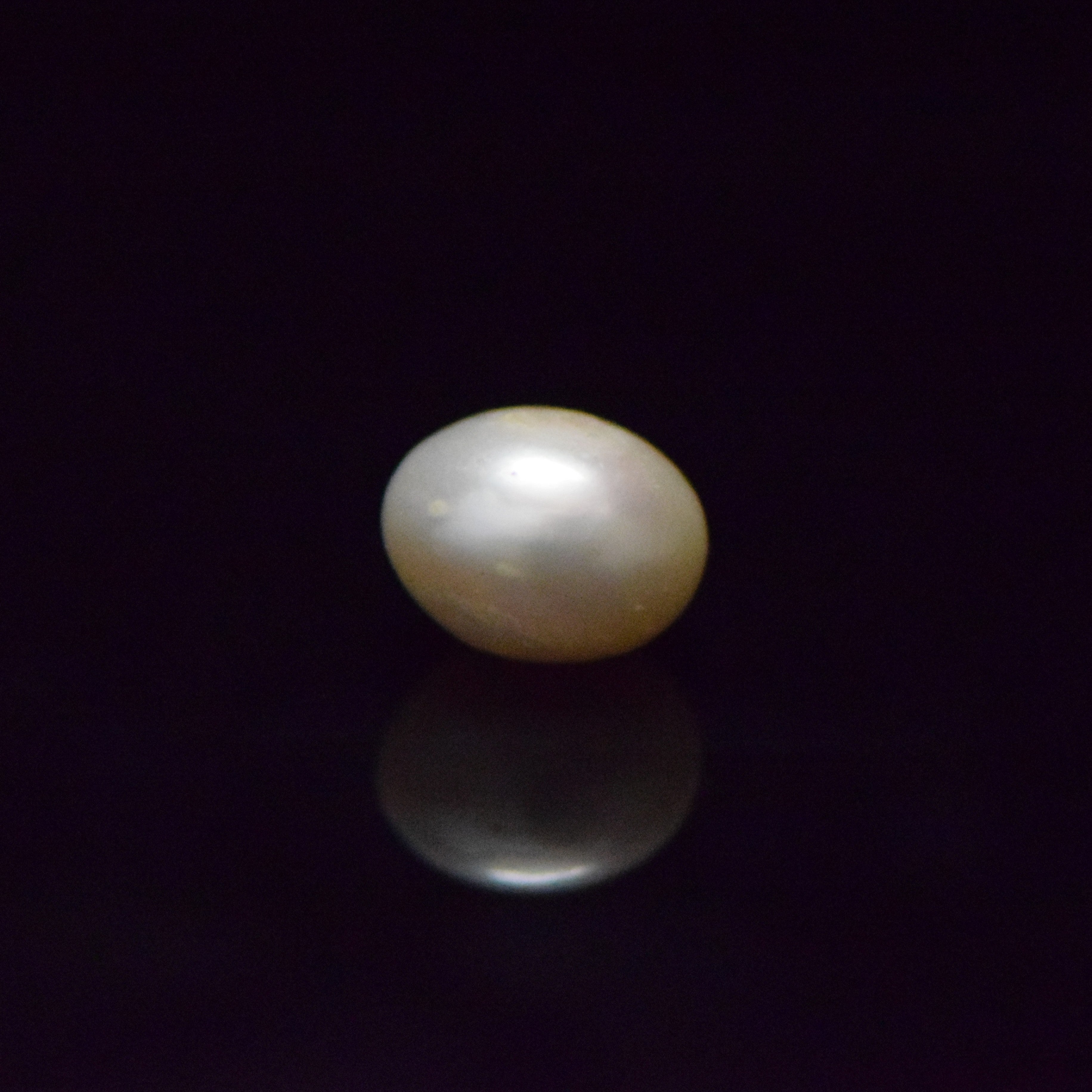 Fresh Water Pearl - 14.69 Carat