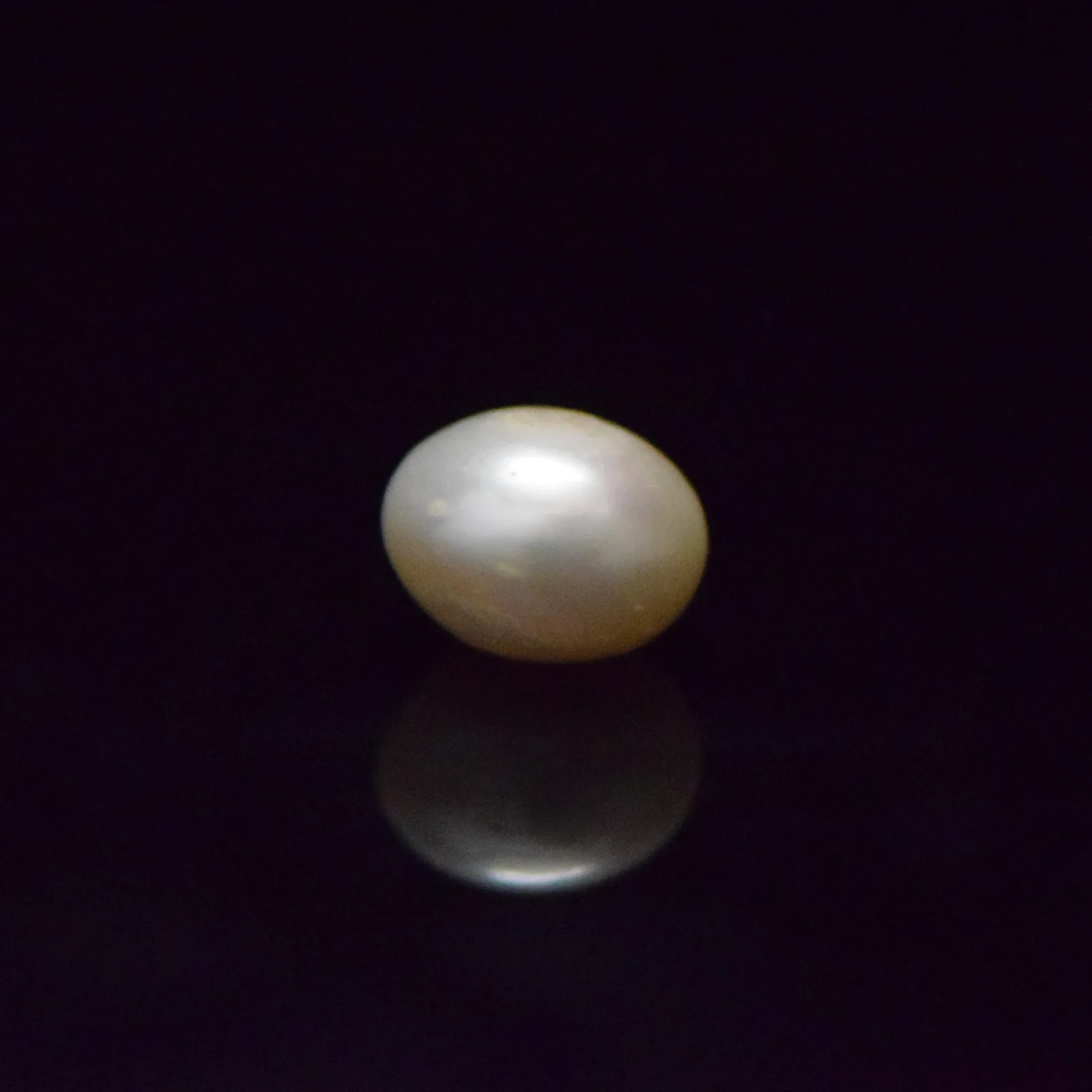 Fresh Water Pearl - 14.69 Carat