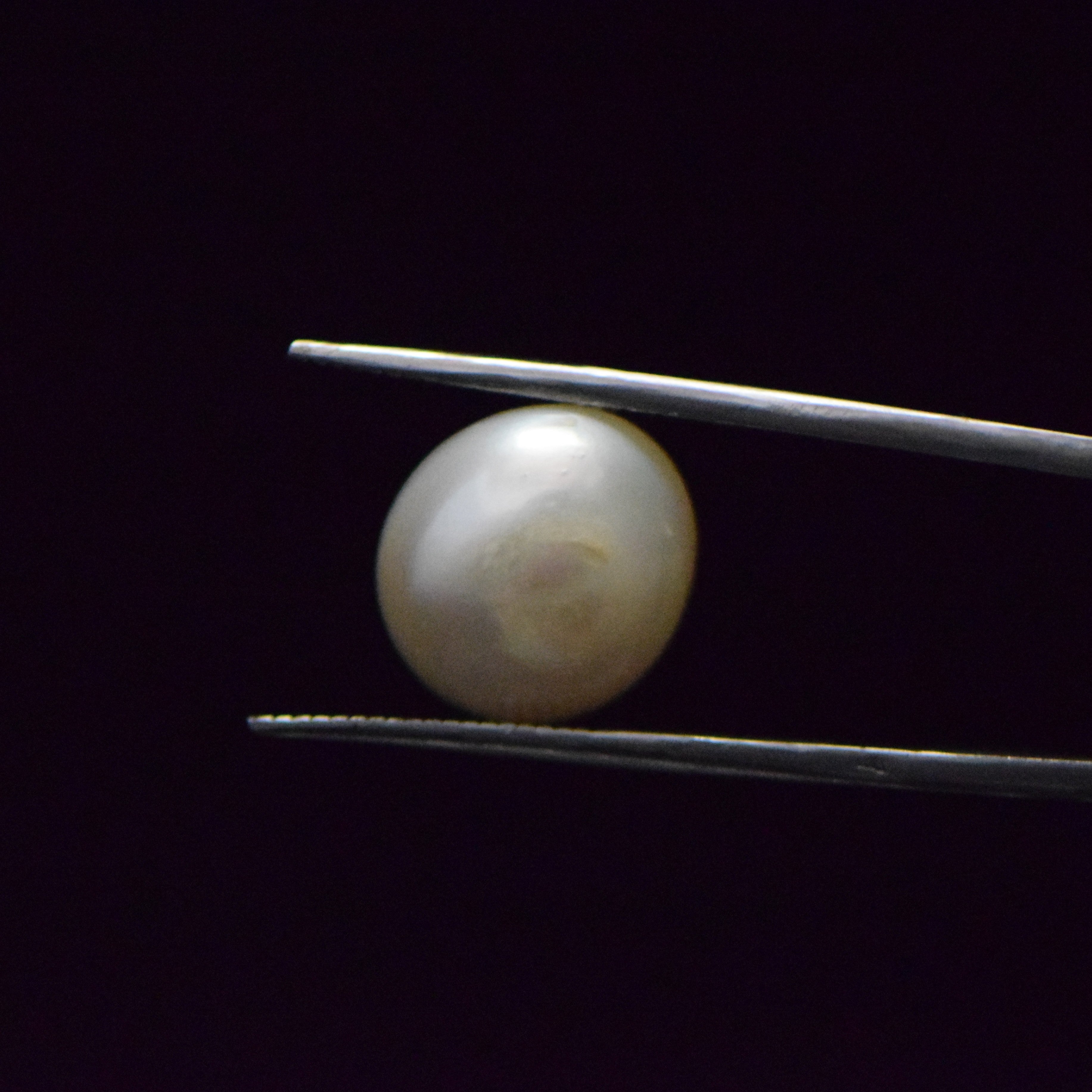 Fresh Water Pearl - 14.69 Carat