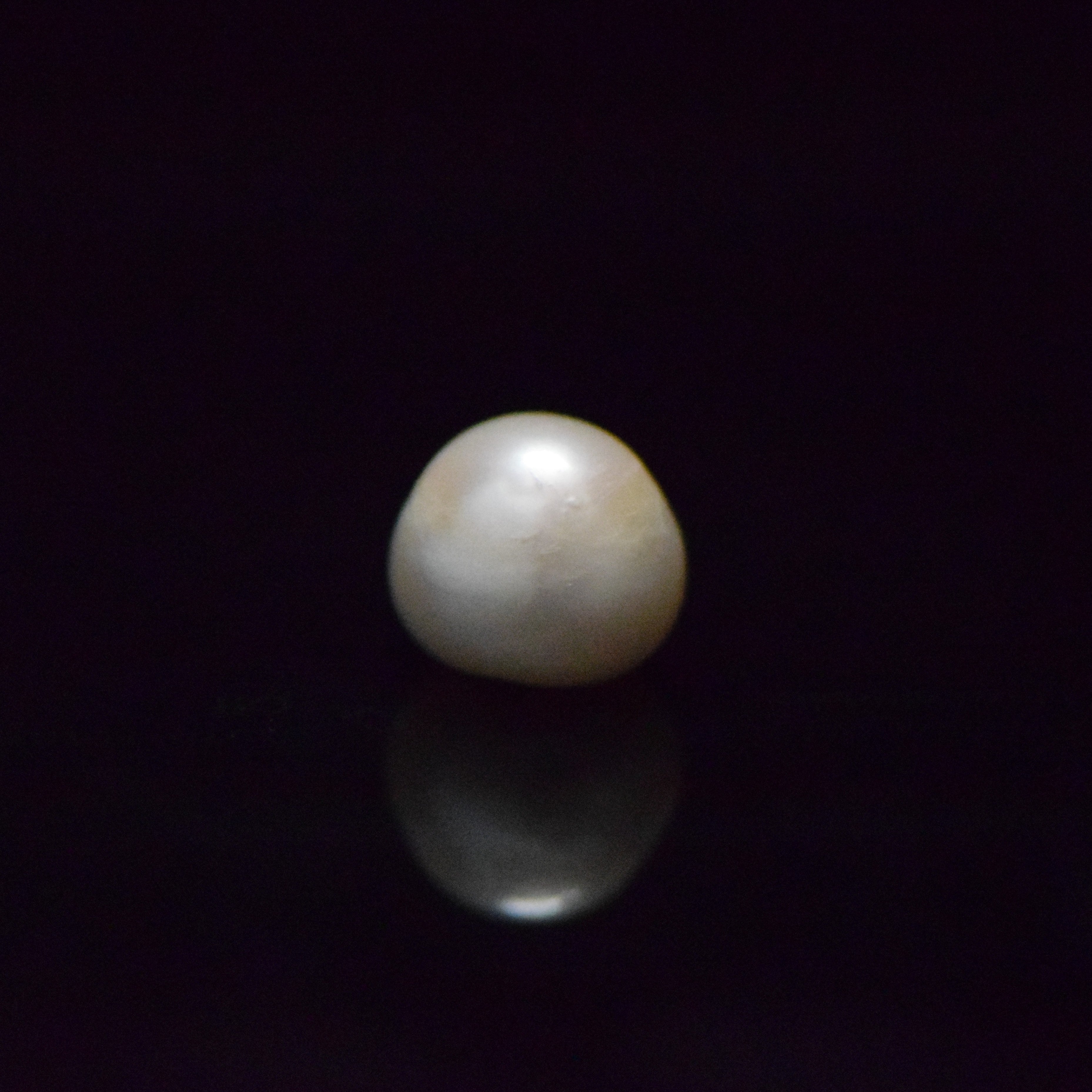 Fresh Water Pearl - 12.73 Carat