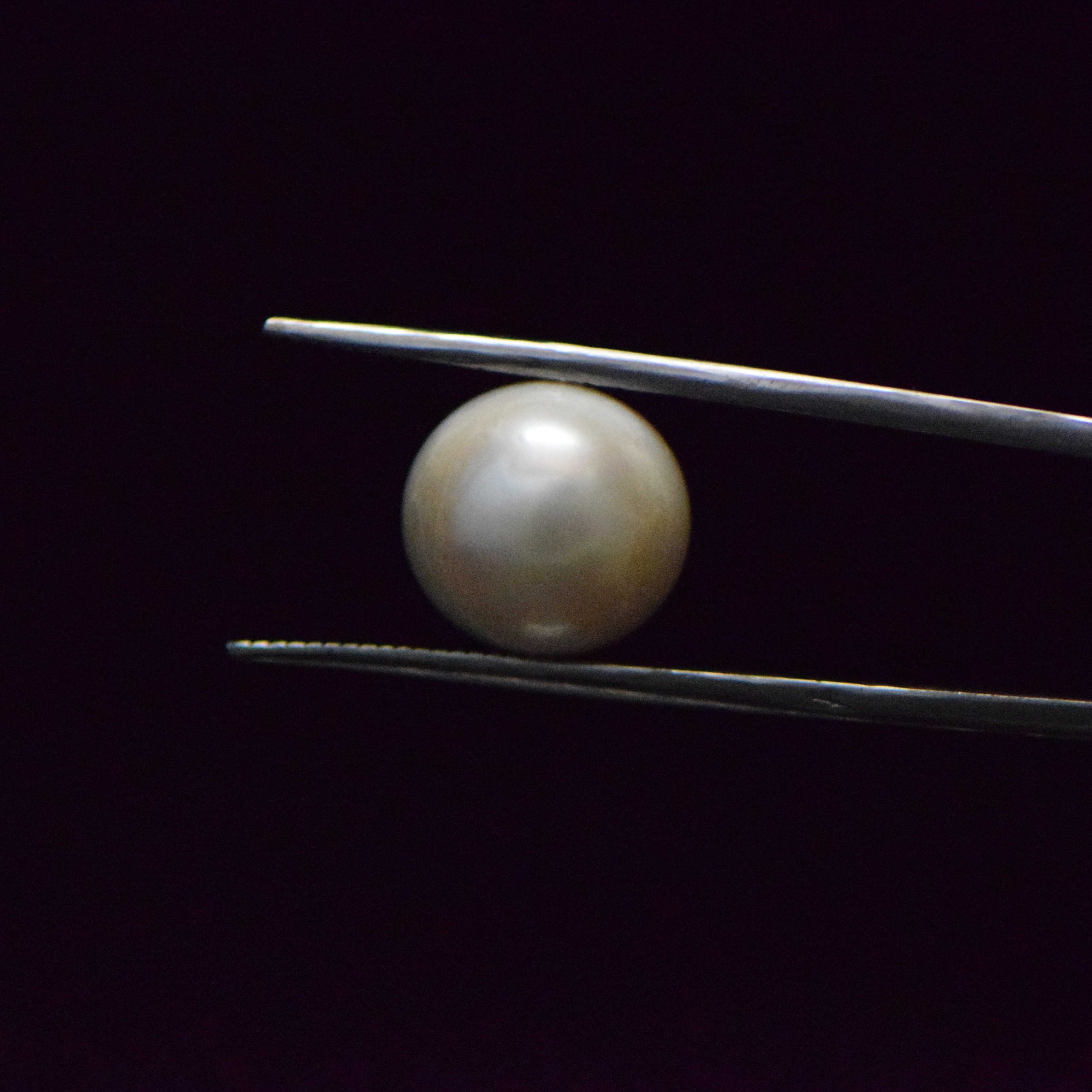 Fresh Water Pearl - 12.73 Carat