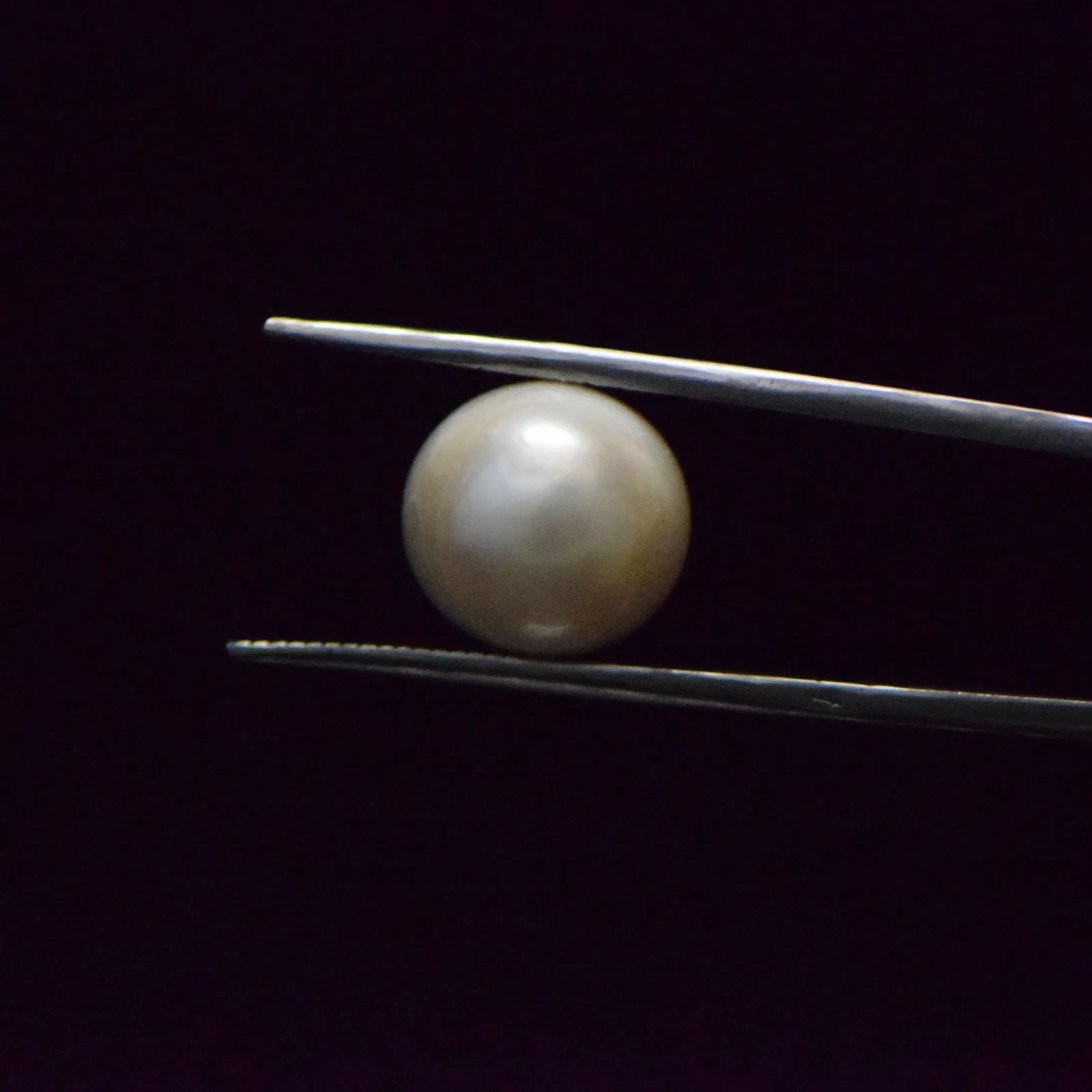Fresh Water Pearl - 12.73 Carat
