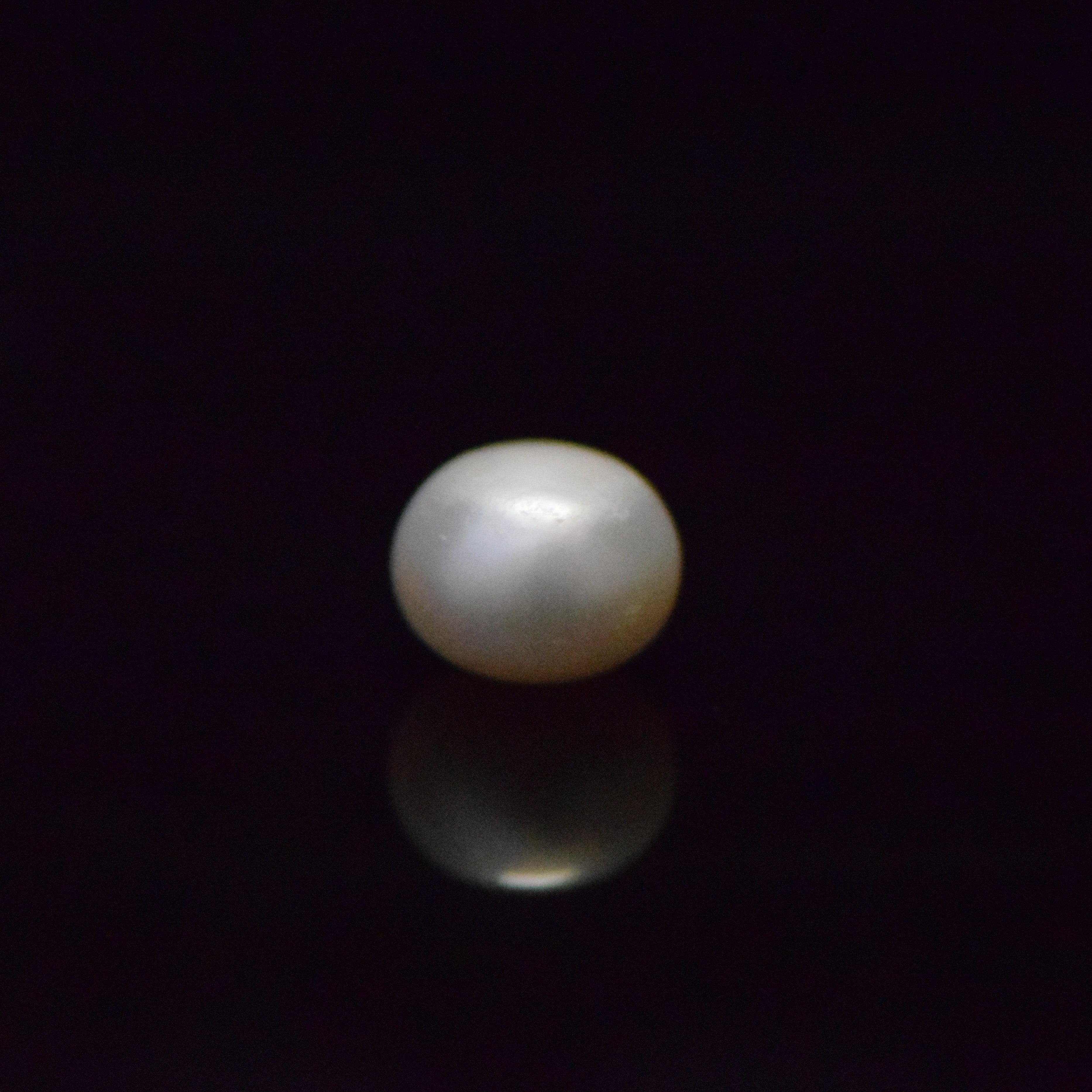 Fresh Water Pearl - 11.9 Carat