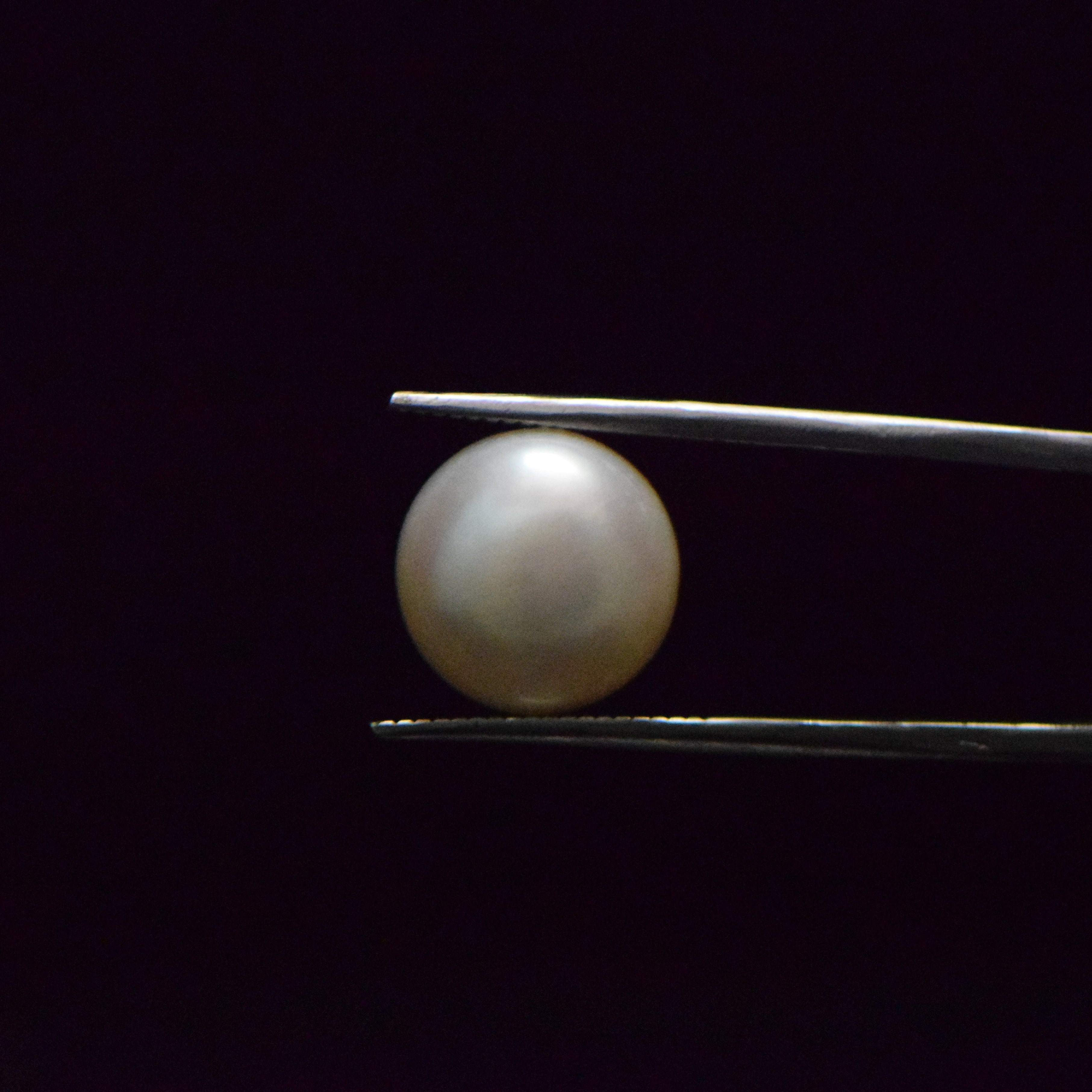 Fresh Water Pearl - 11.9 Carat