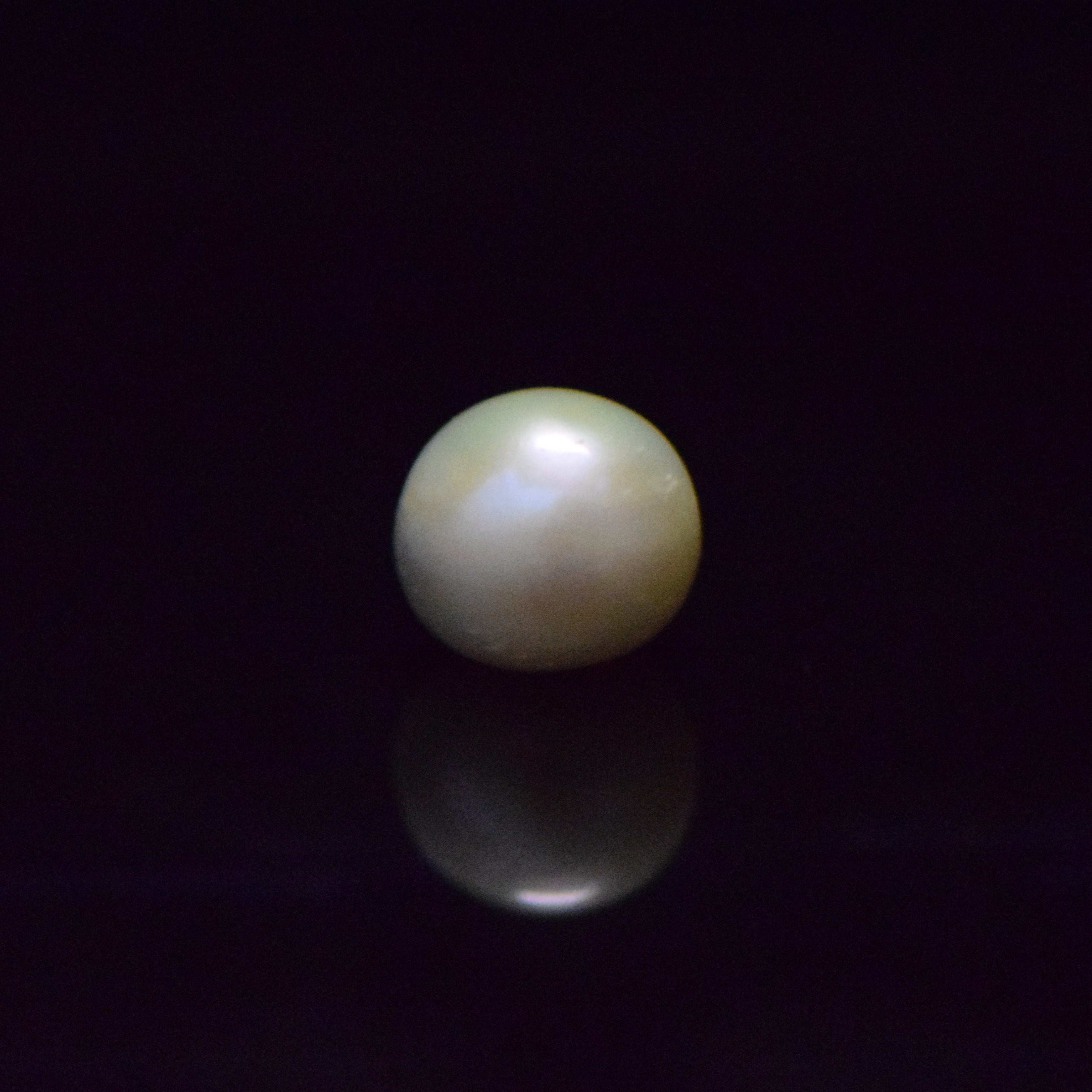 Fresh Water Pearl - 12.76 Carat