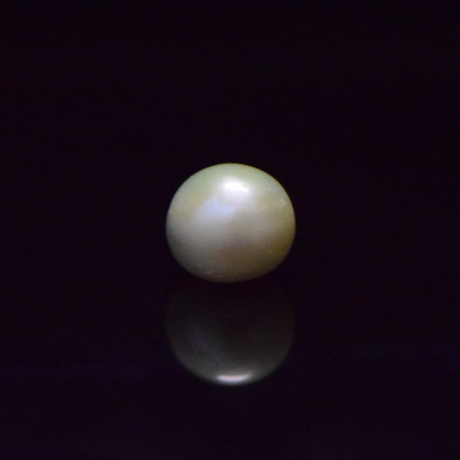 Fresh Water Pearl - 12.76 Carat