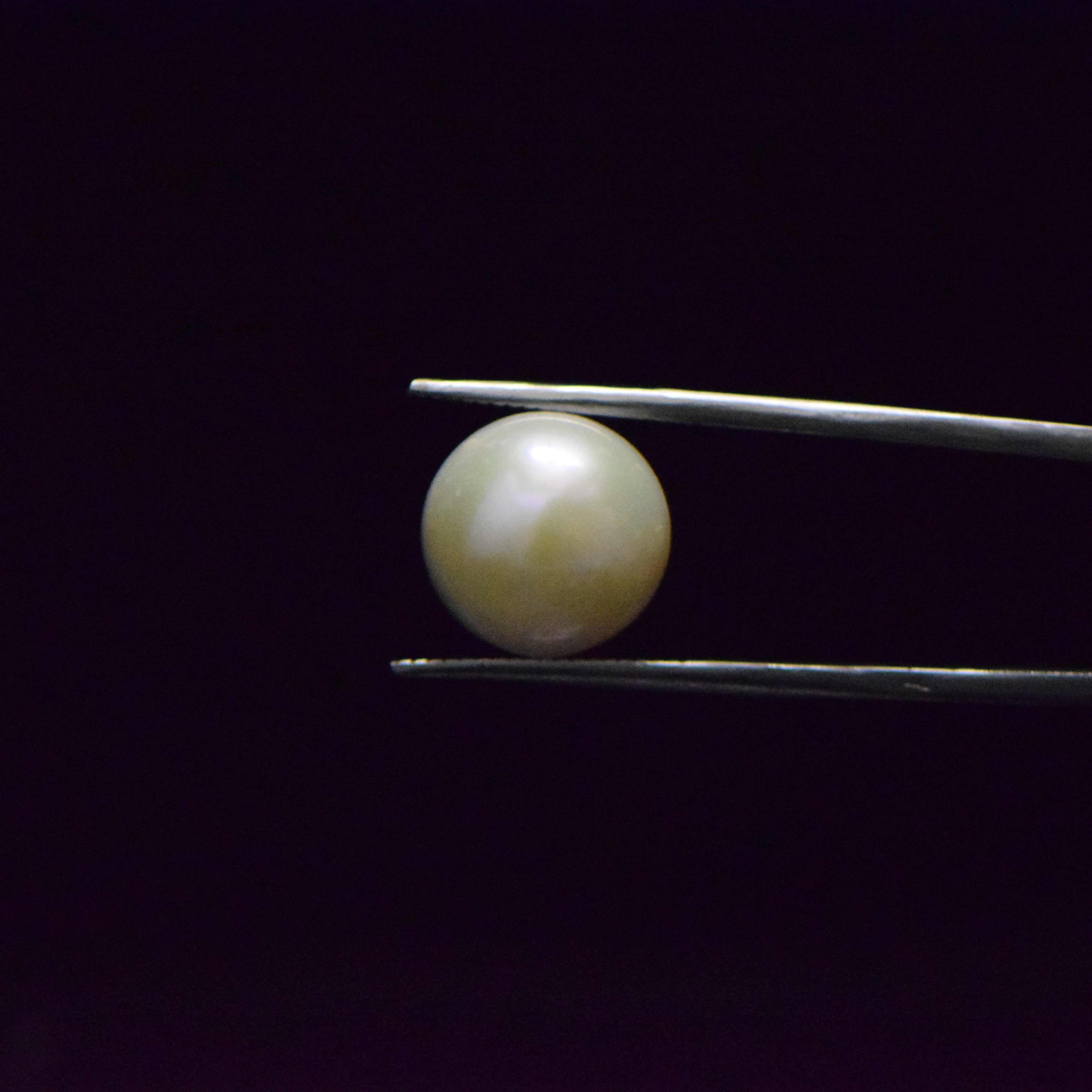 Fresh Water Pearl - 12.76 Carat