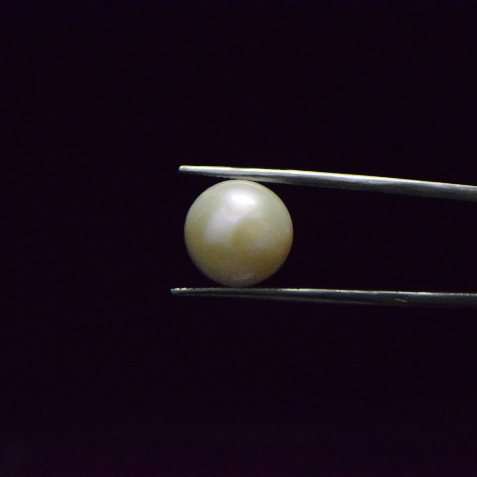 Fresh Water Pearl - 12.76 Carat