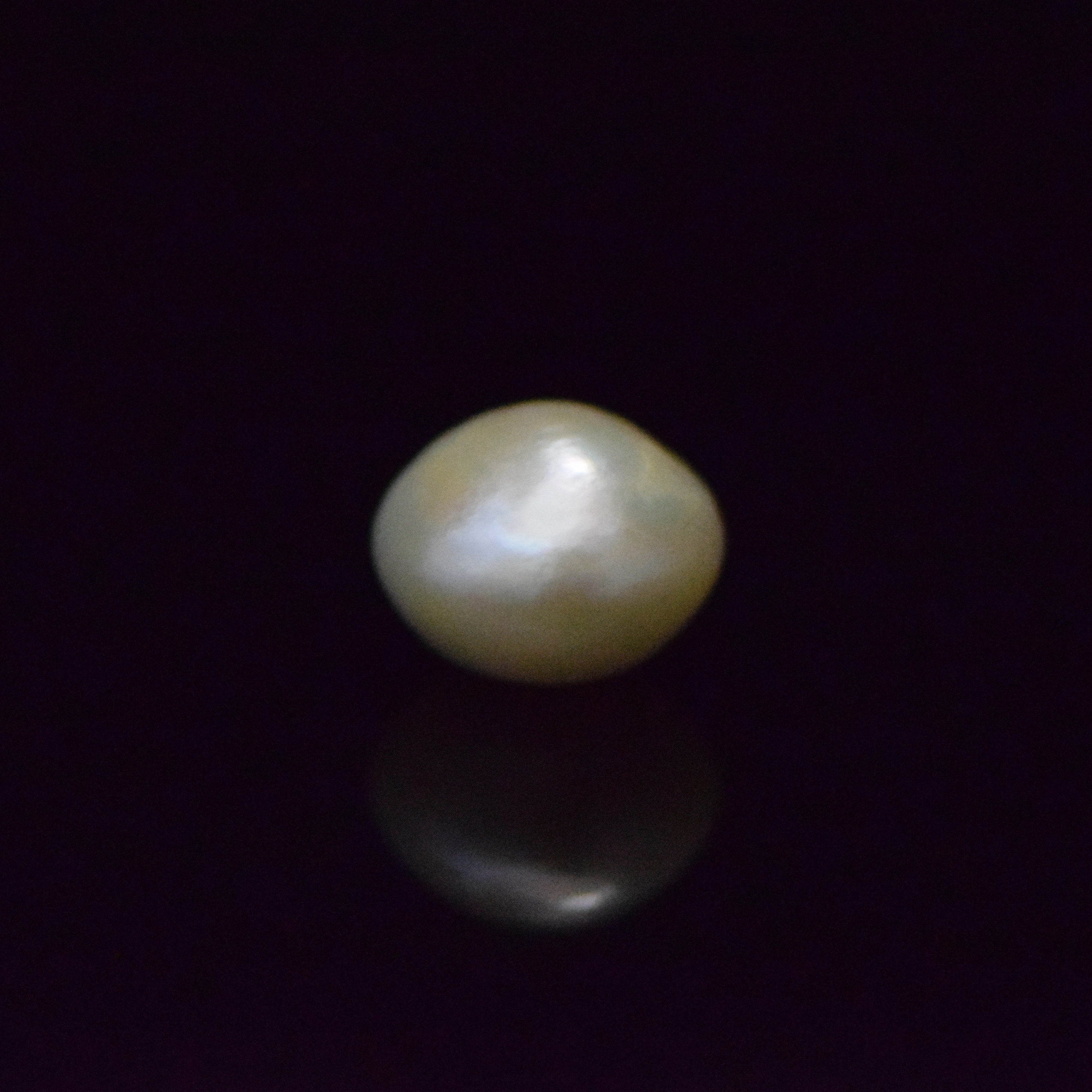 Fresh Water Pearl - 14.59 Carat
