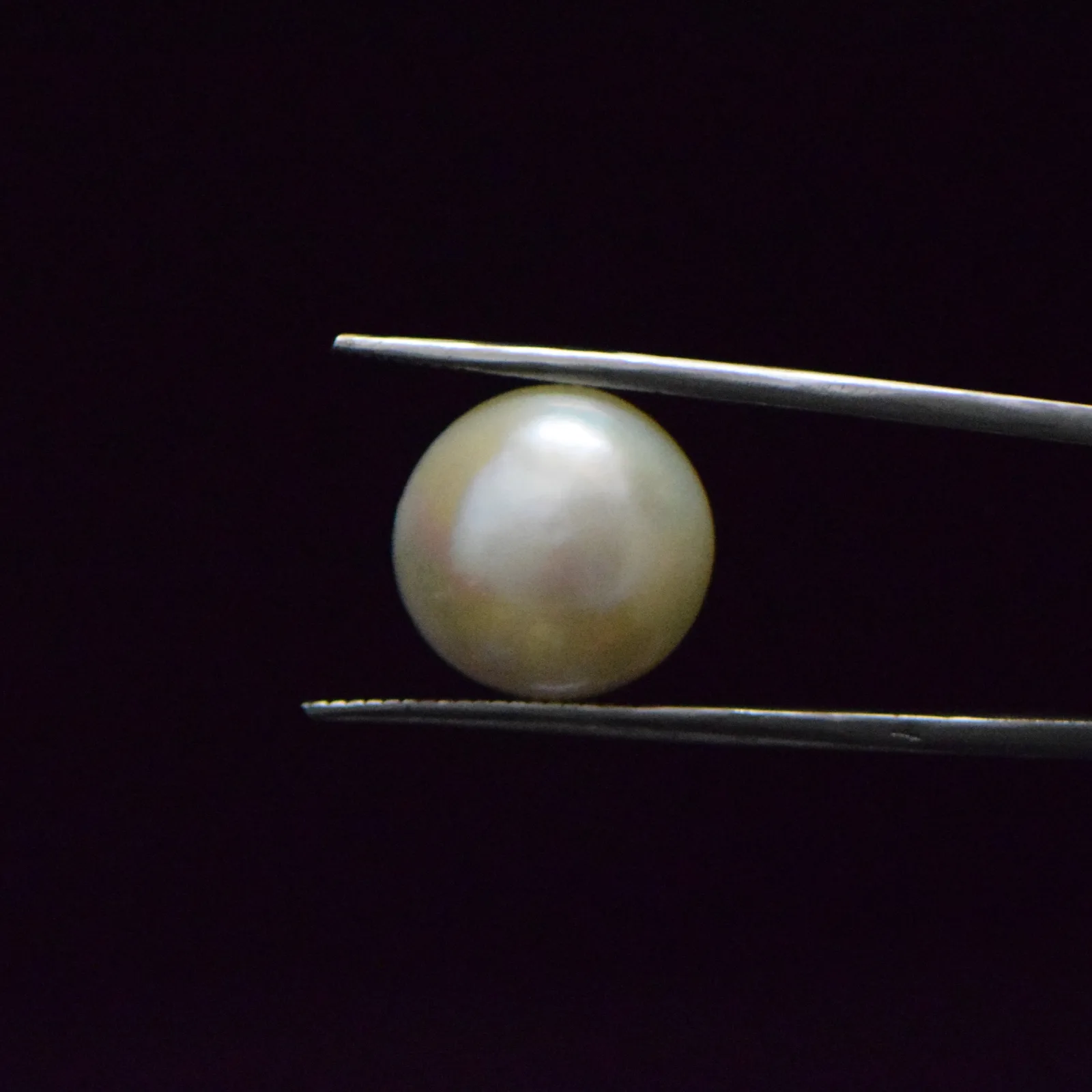 Fresh Water Pearl - 14.59 Carat