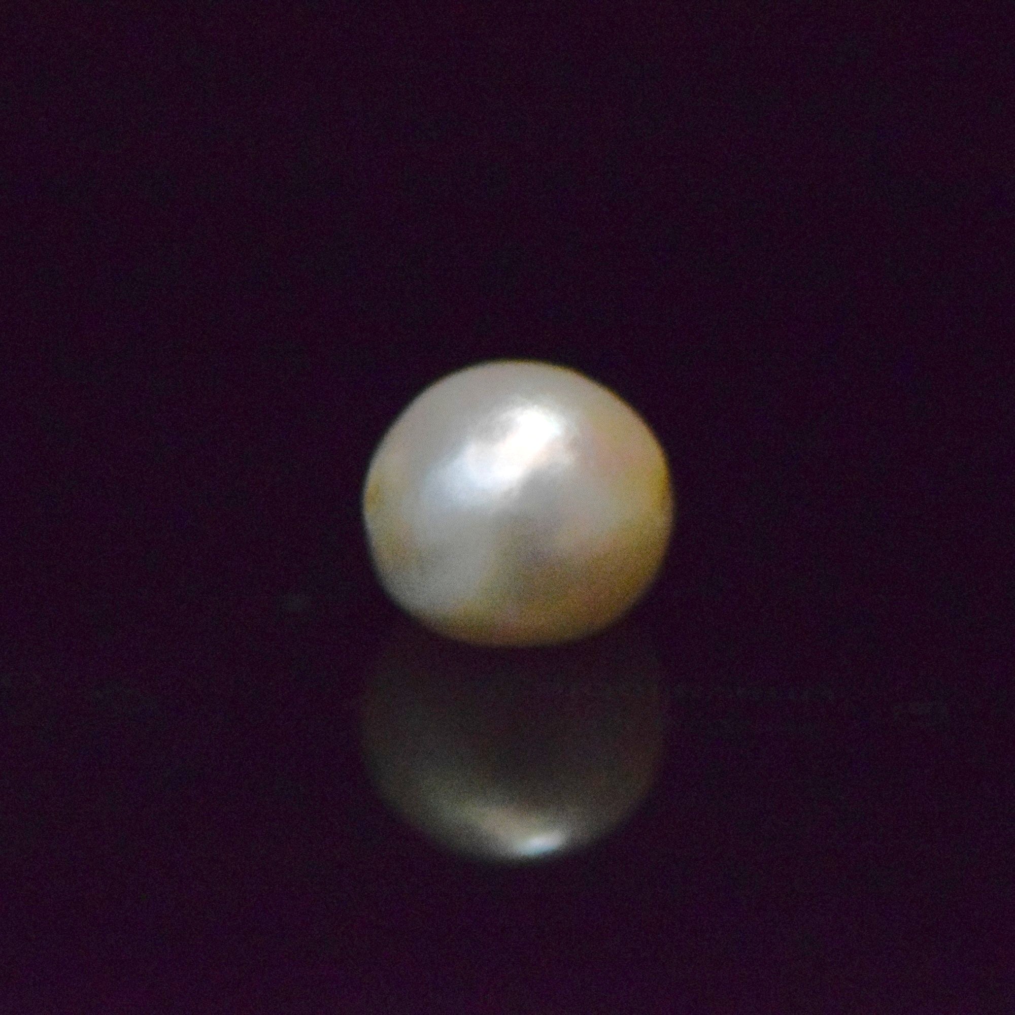 Fresh Water Pearl - 15.13 Carat