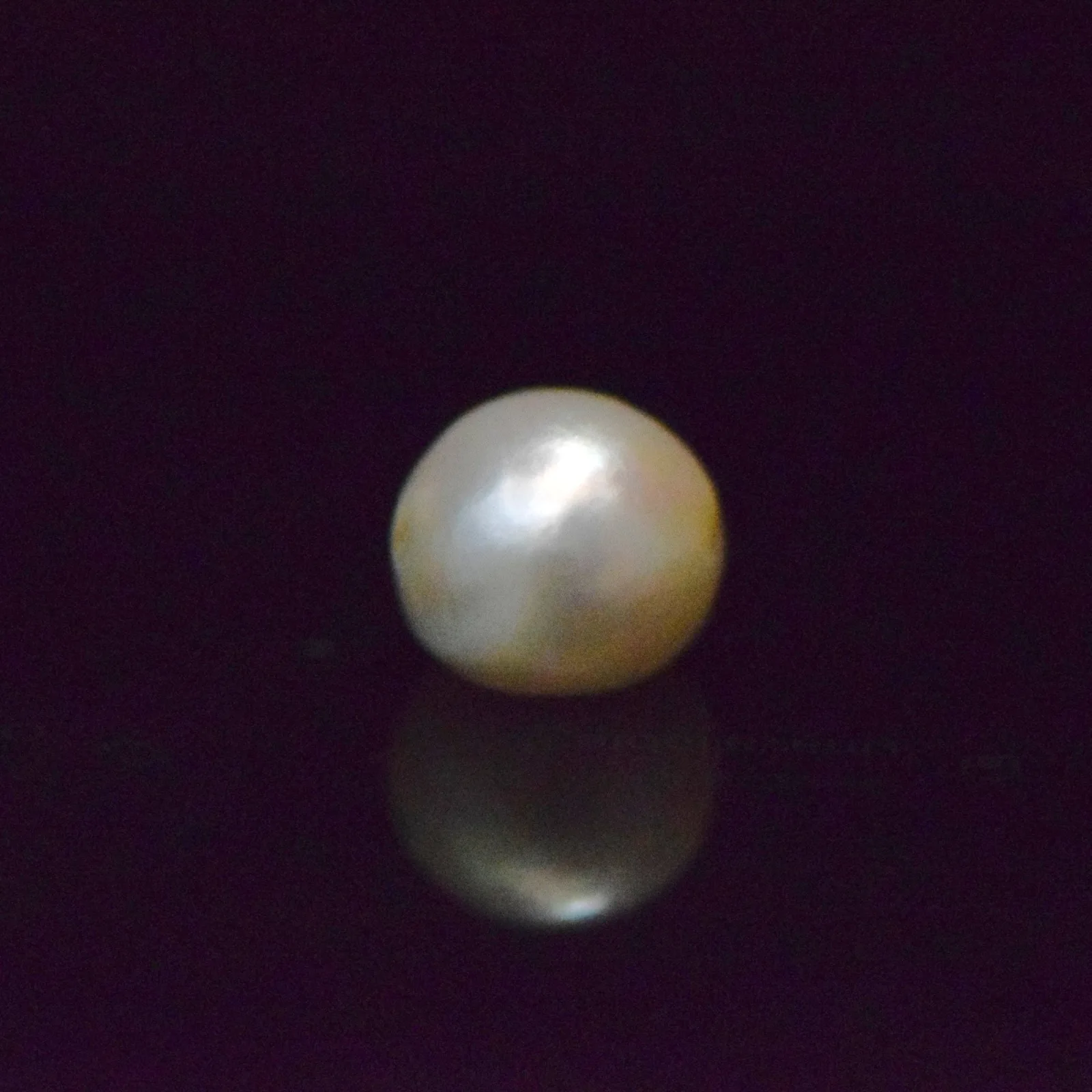 Fresh Water Pearl - 15.13 Carat