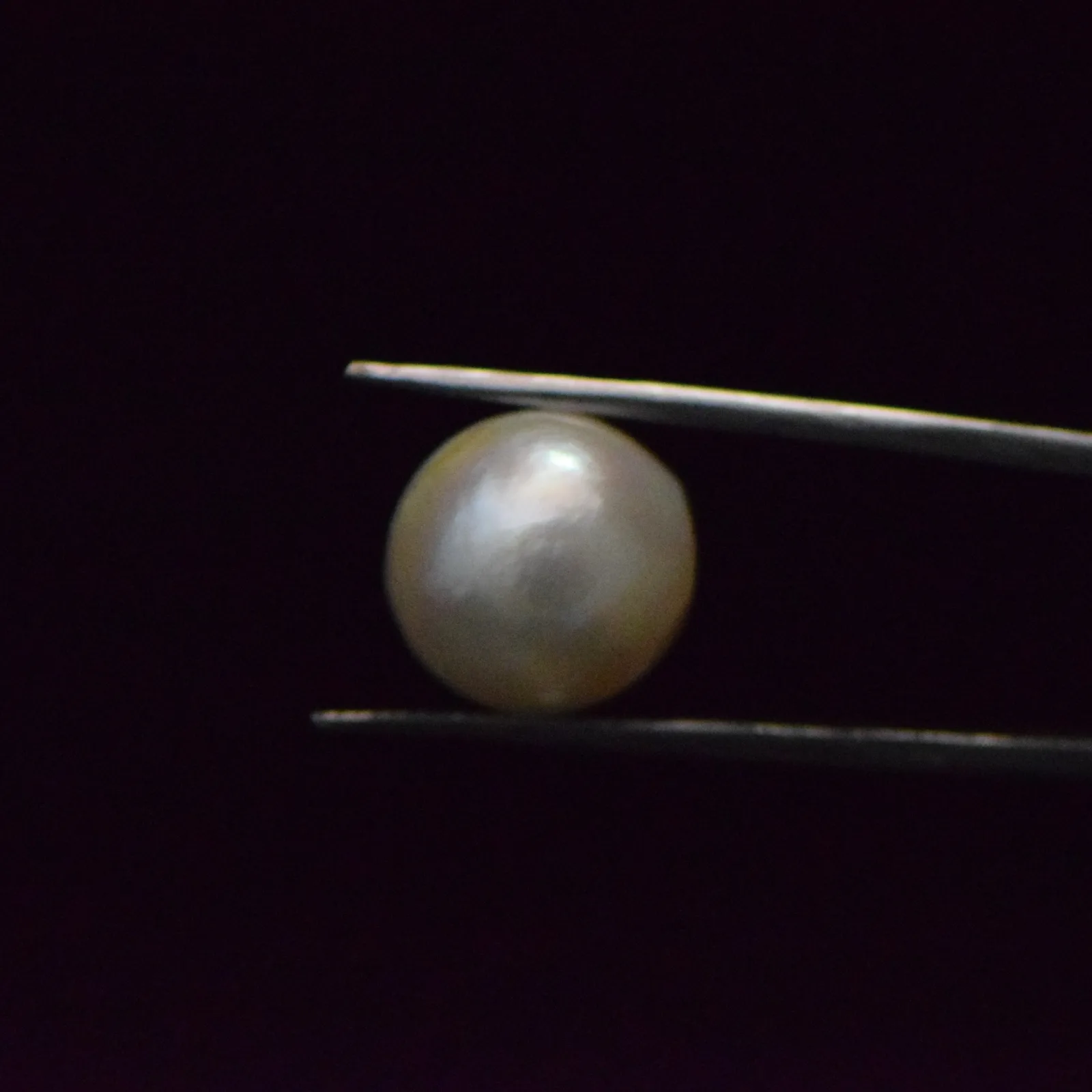 Fresh Water Pearl - 15.13 Carat