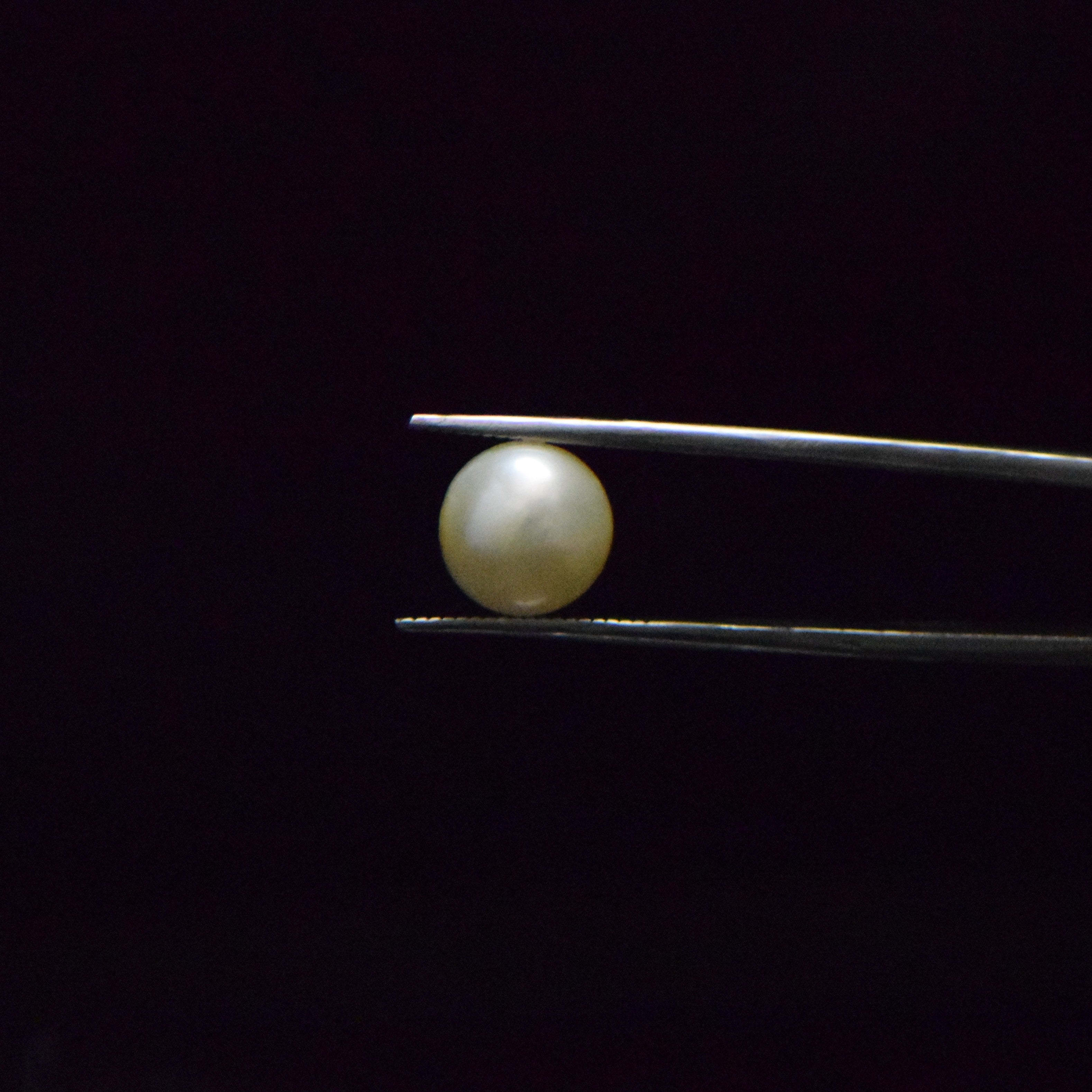 Fresh Water Pearl - 6.25 Carat