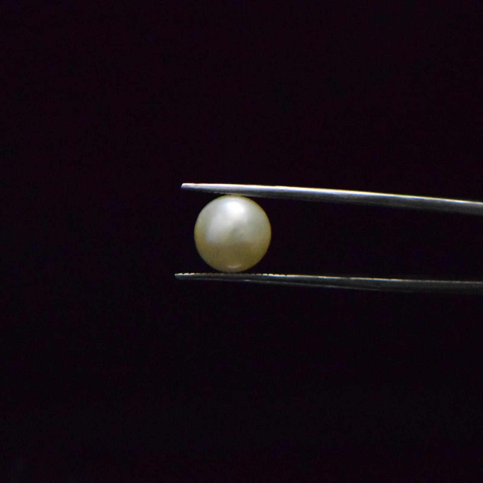 Fresh Water Pearl - 6.25 Carat
