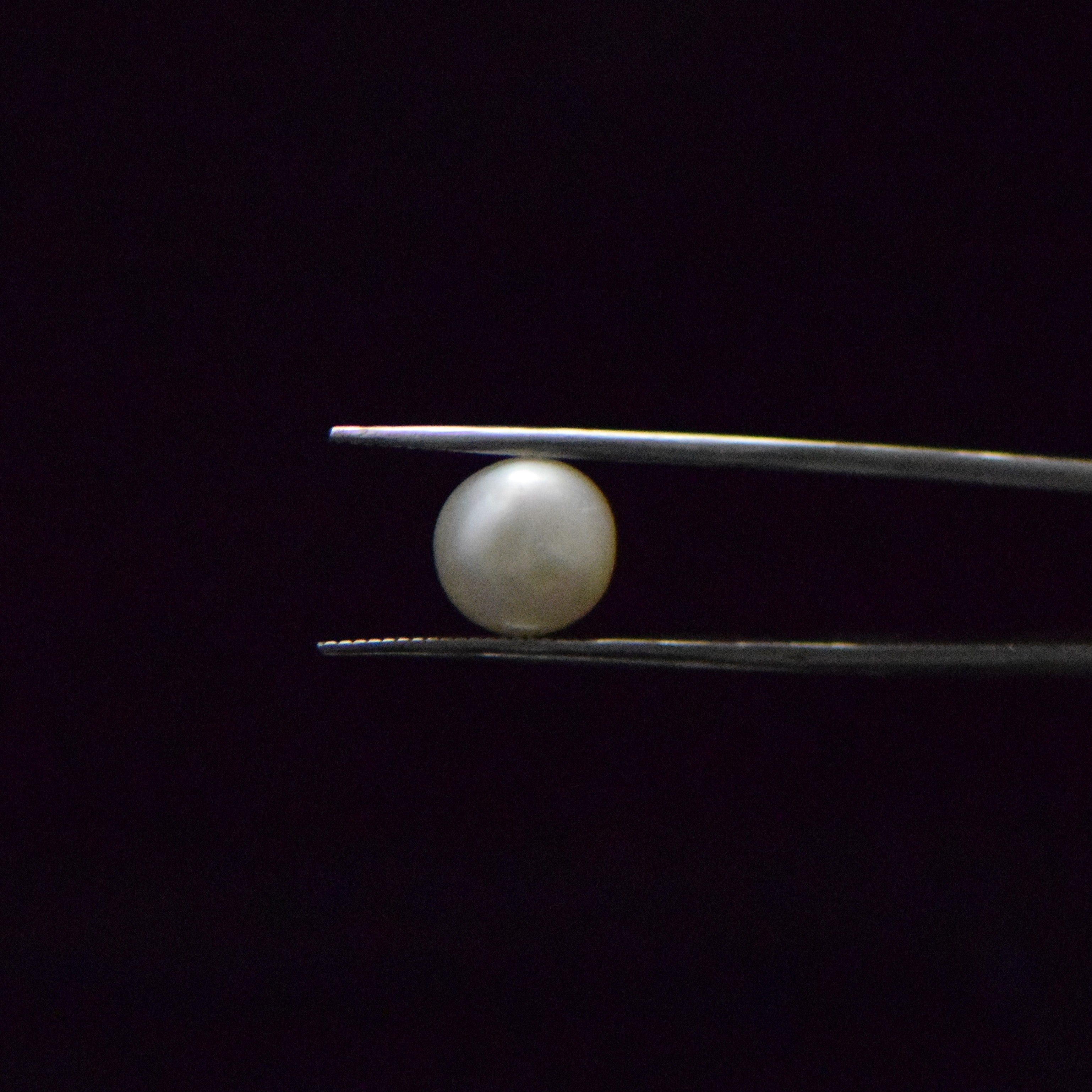 Fresh Water Pearl - 5.86 Carat
