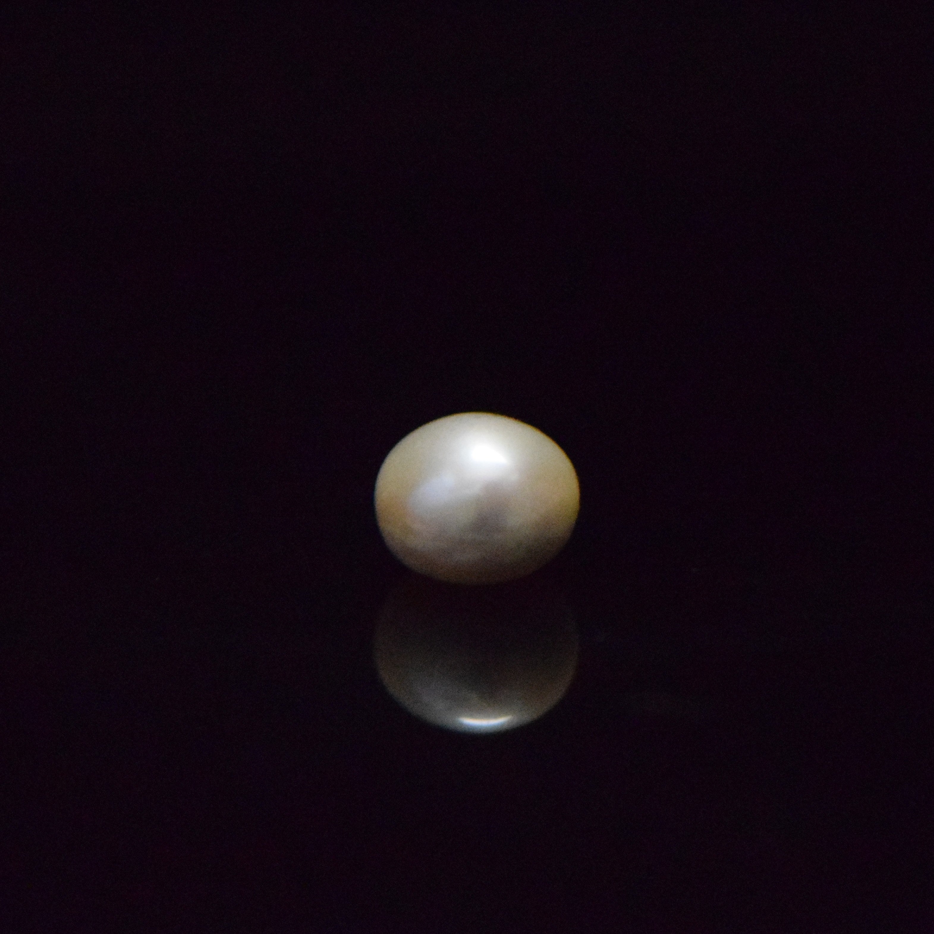 Fresh Water Pearl - 6.41 Carat