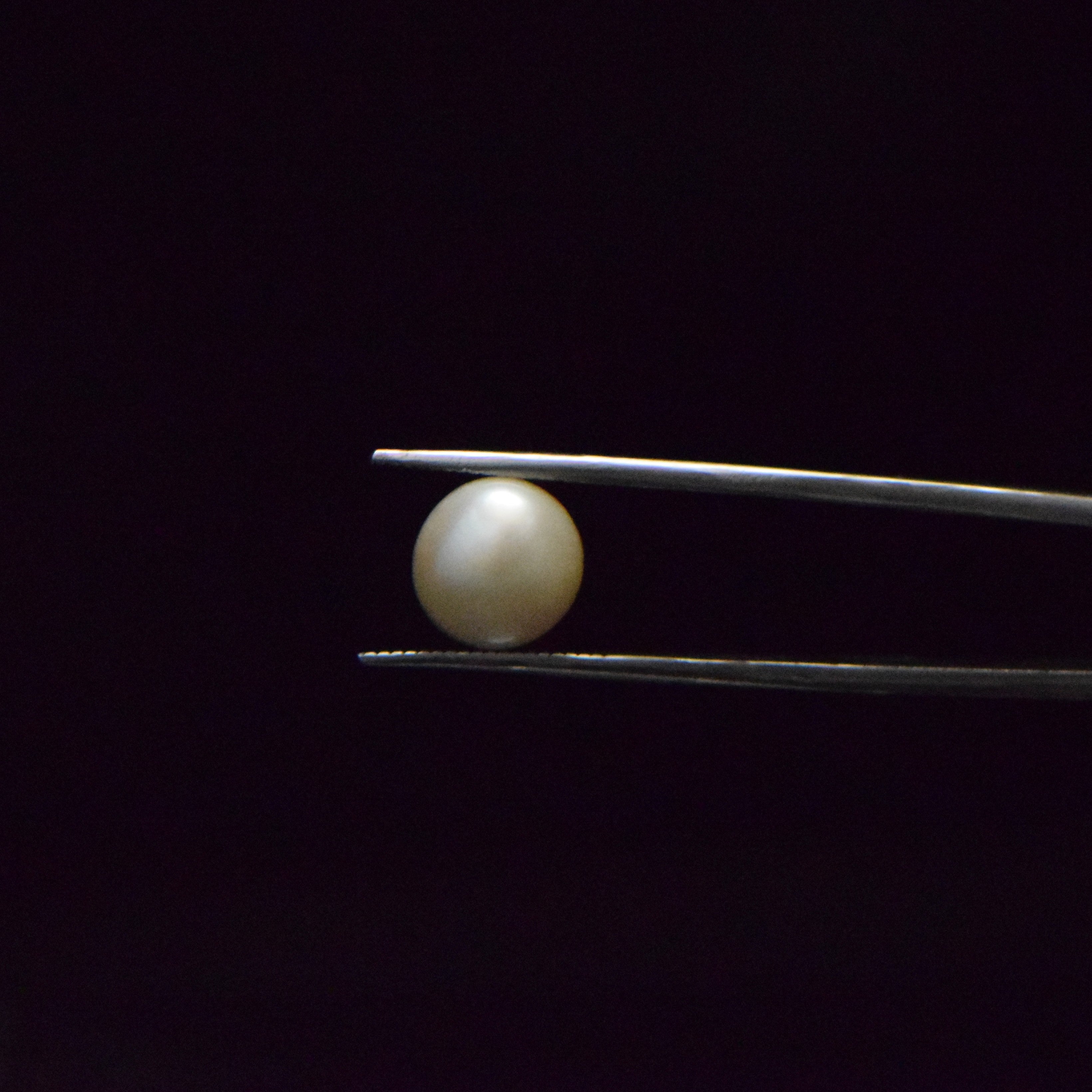 Fresh Water Pearl - 6.41 Carat