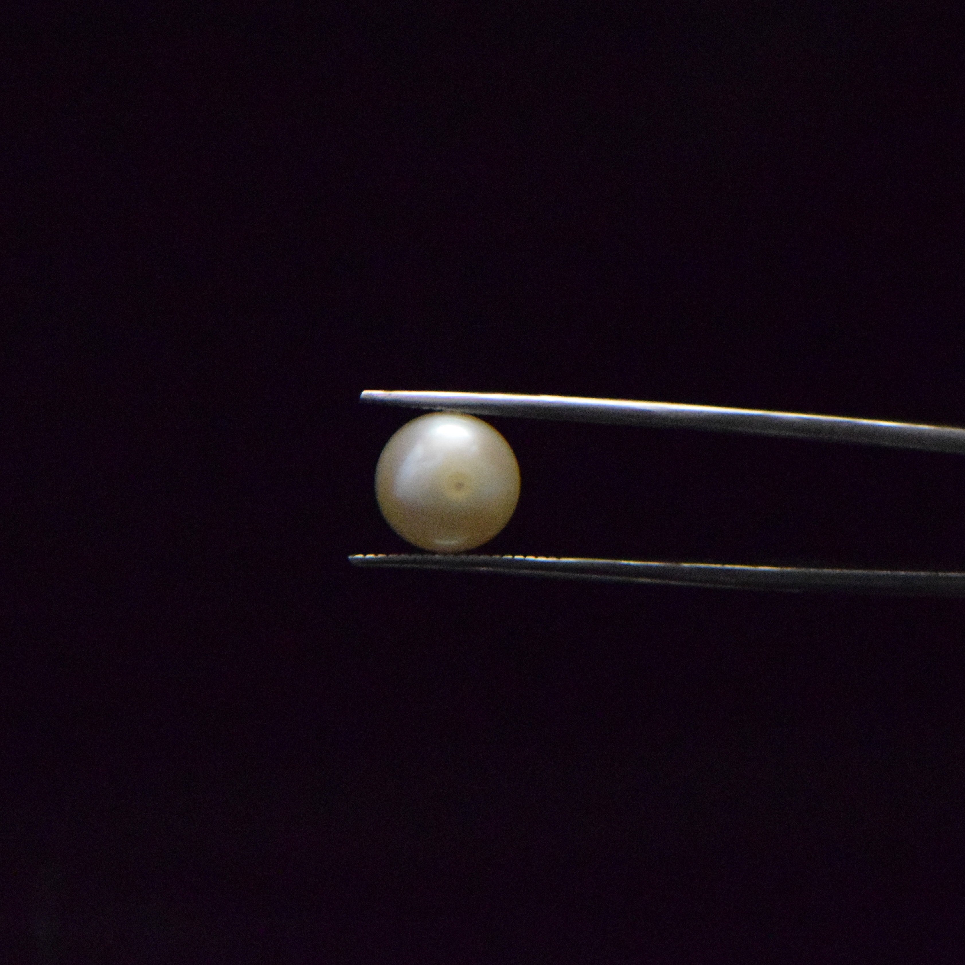 Fresh Water Pearl - 6.44 Carat