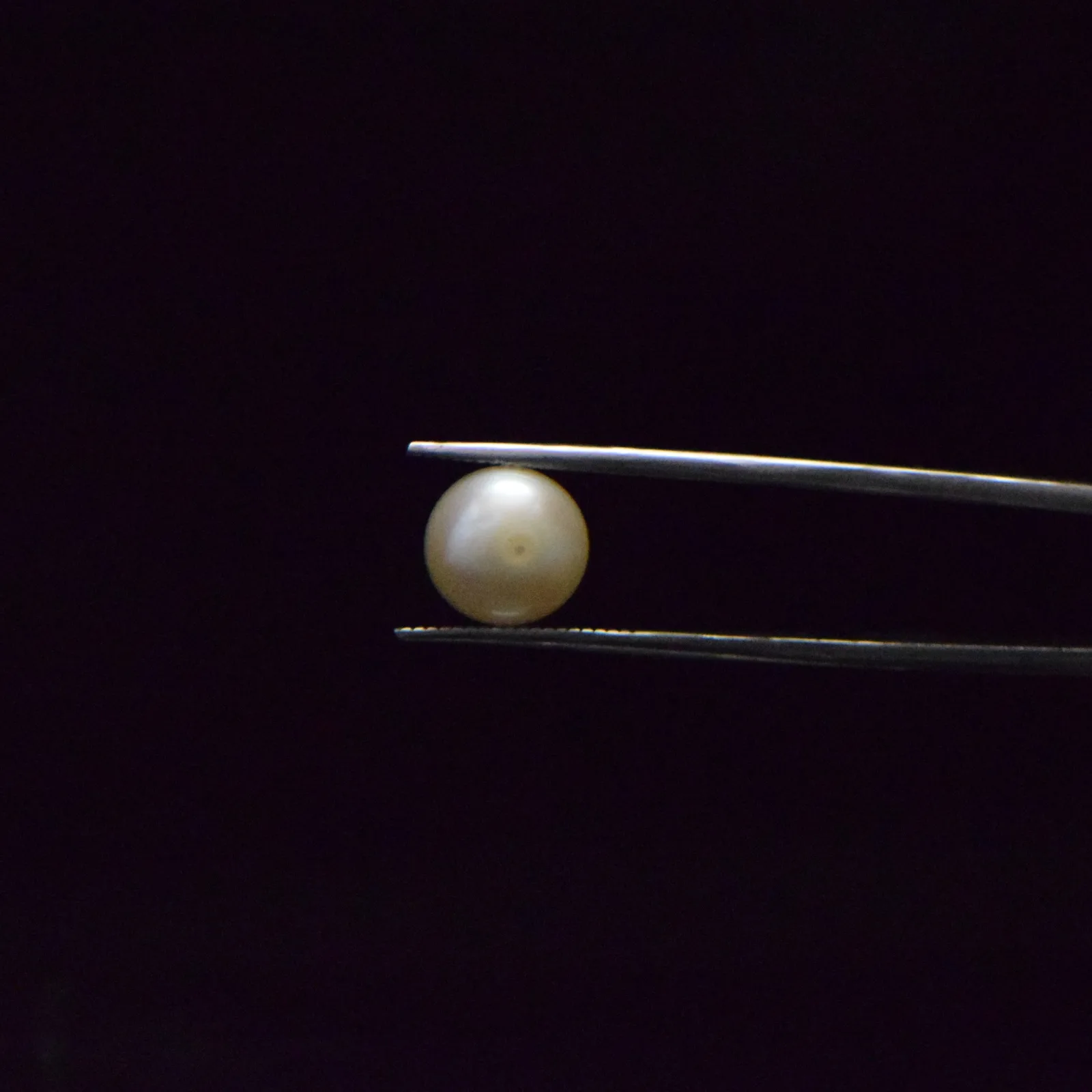 Fresh Water Pearl - 6.44 Carat