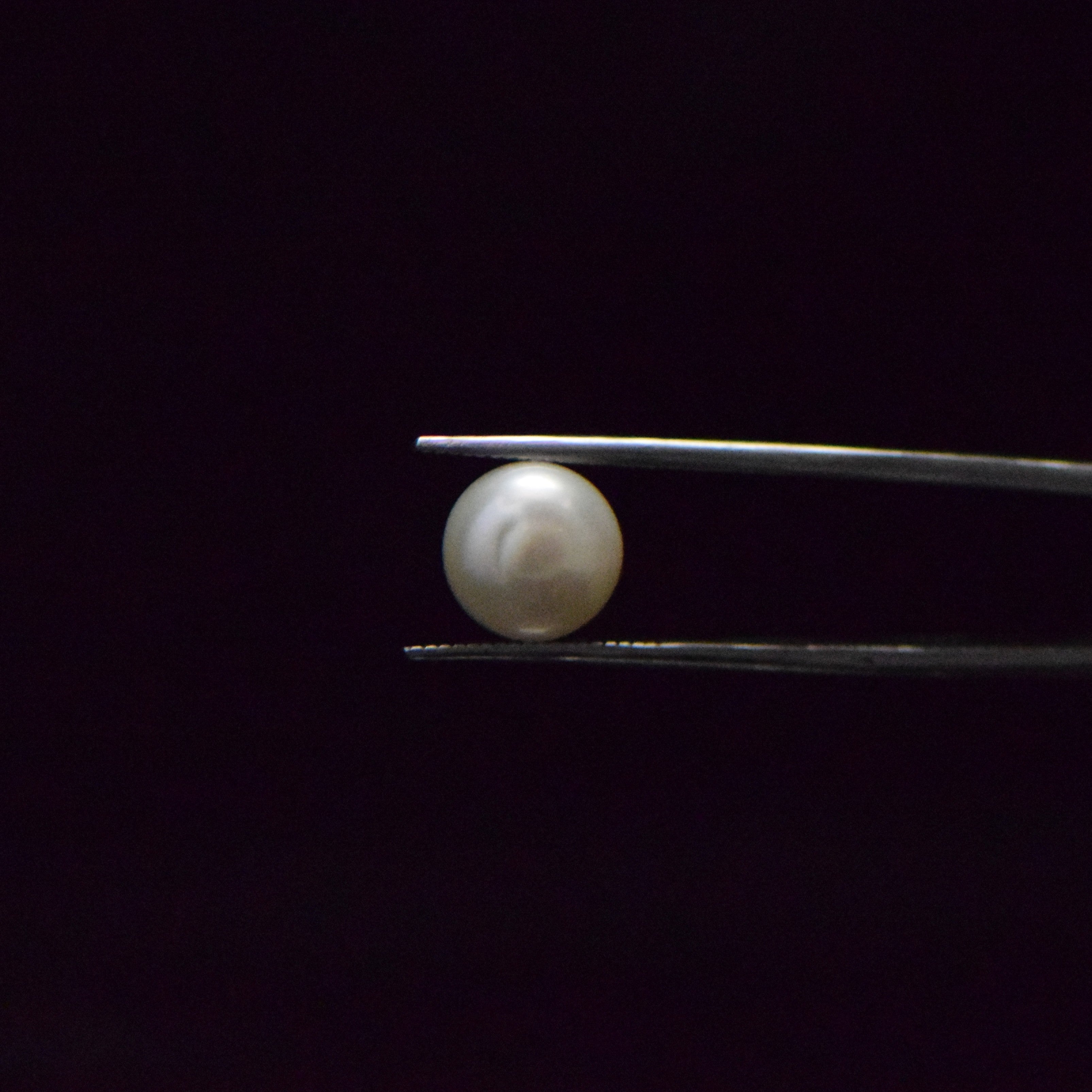 Fresh Water Pearl - 6.57 Carat