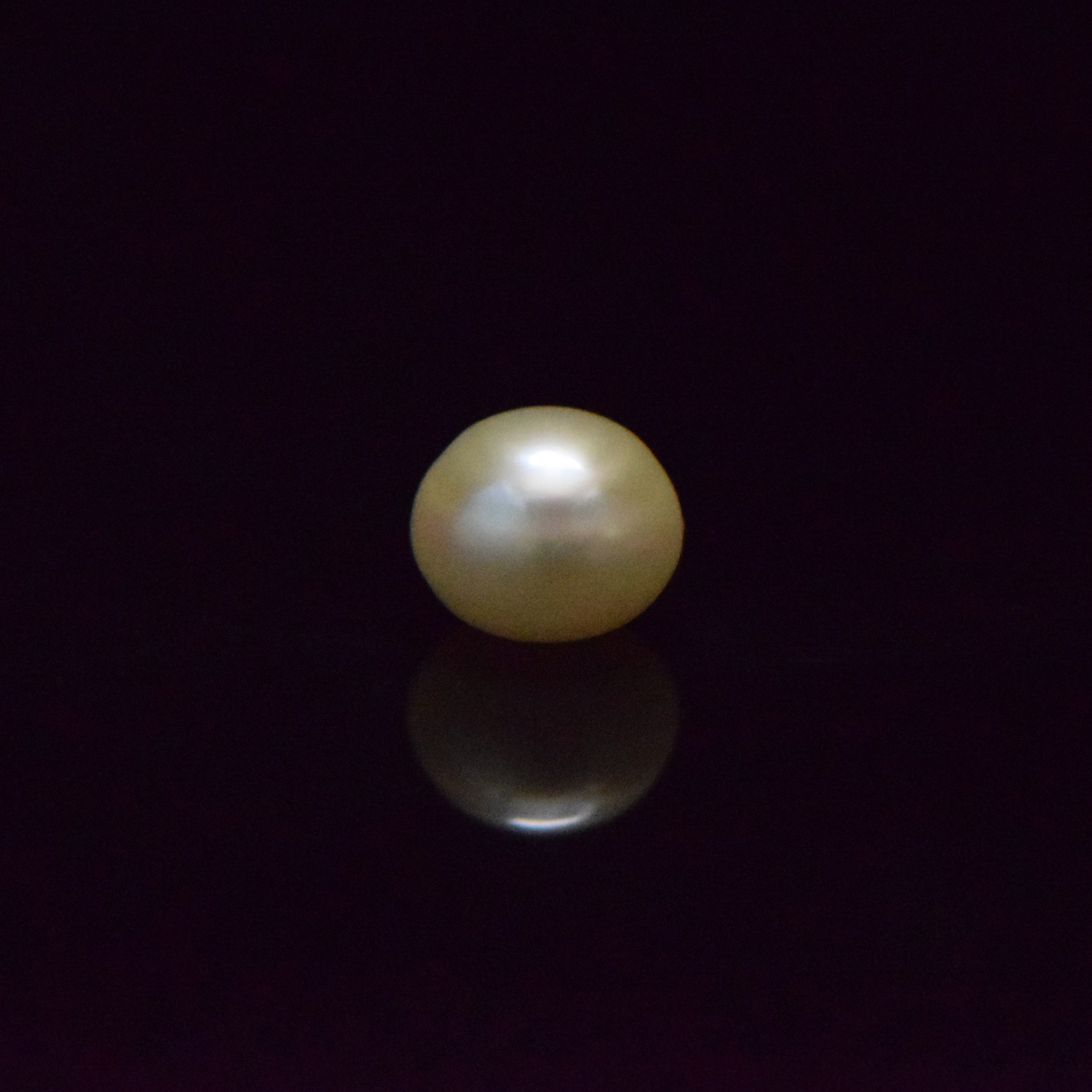 Fresh Water Pearl - 6.23 Carat