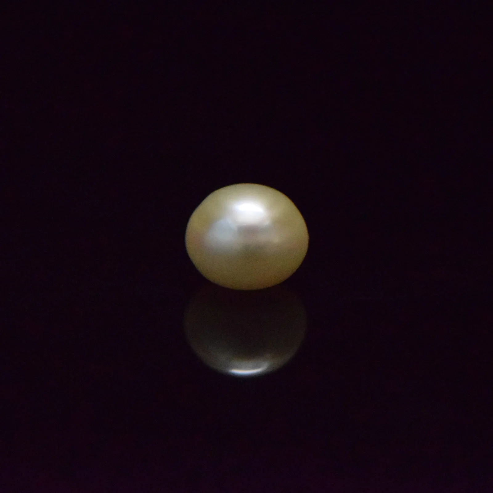 Fresh Water Pearl - 6.23 Carat