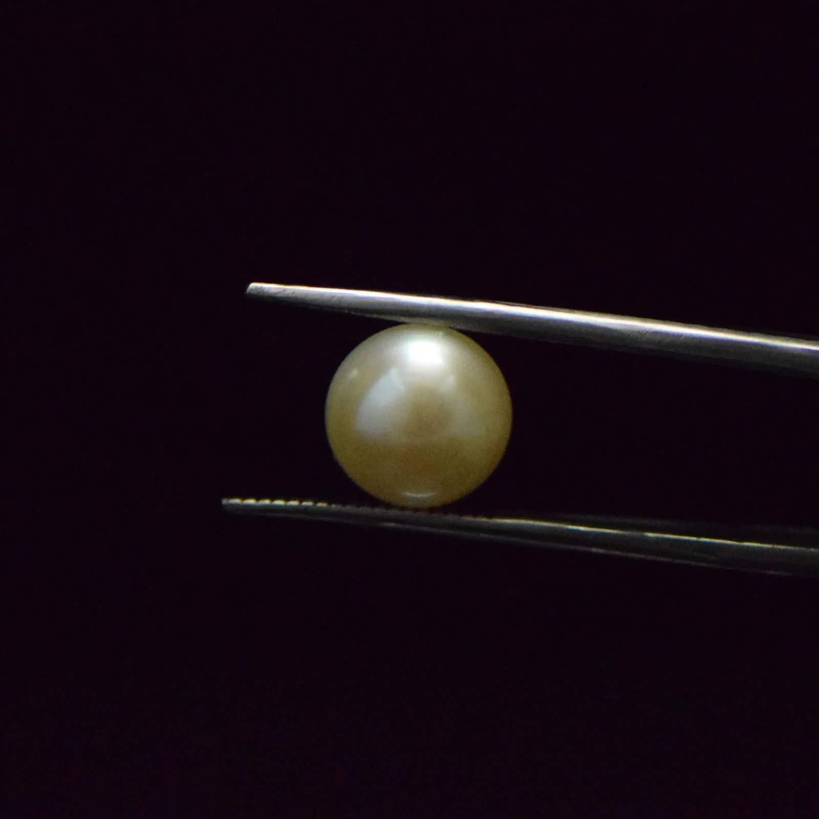 Fresh Water Pearl - 6.23 Carat