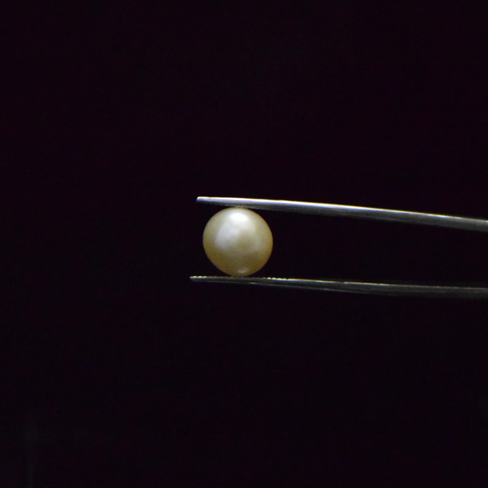 Fresh Water Pearl - 6.37 Carat