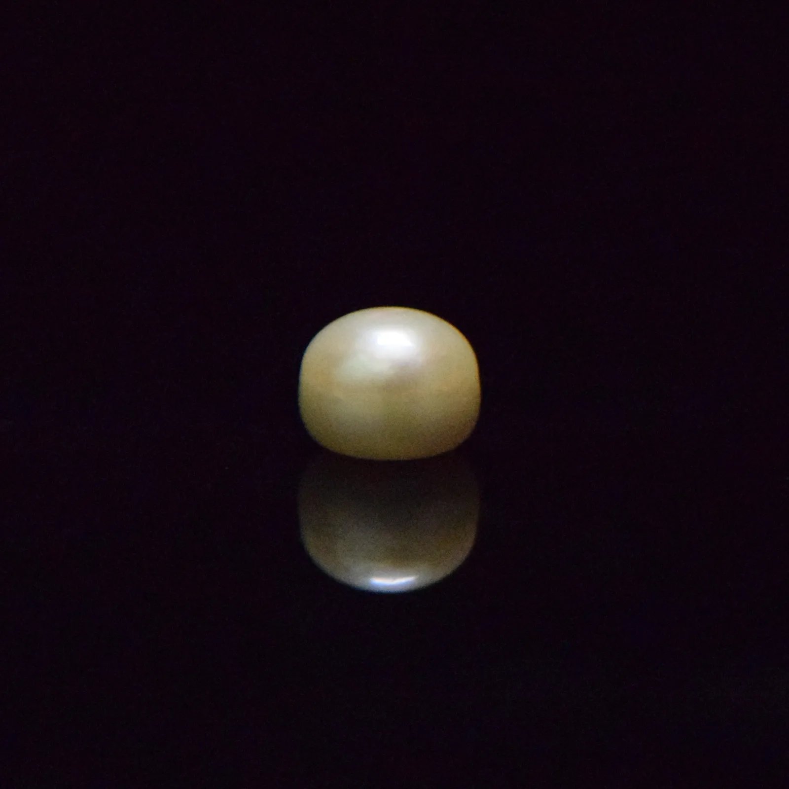 Fresh Water Pearl - 7.06 Carat