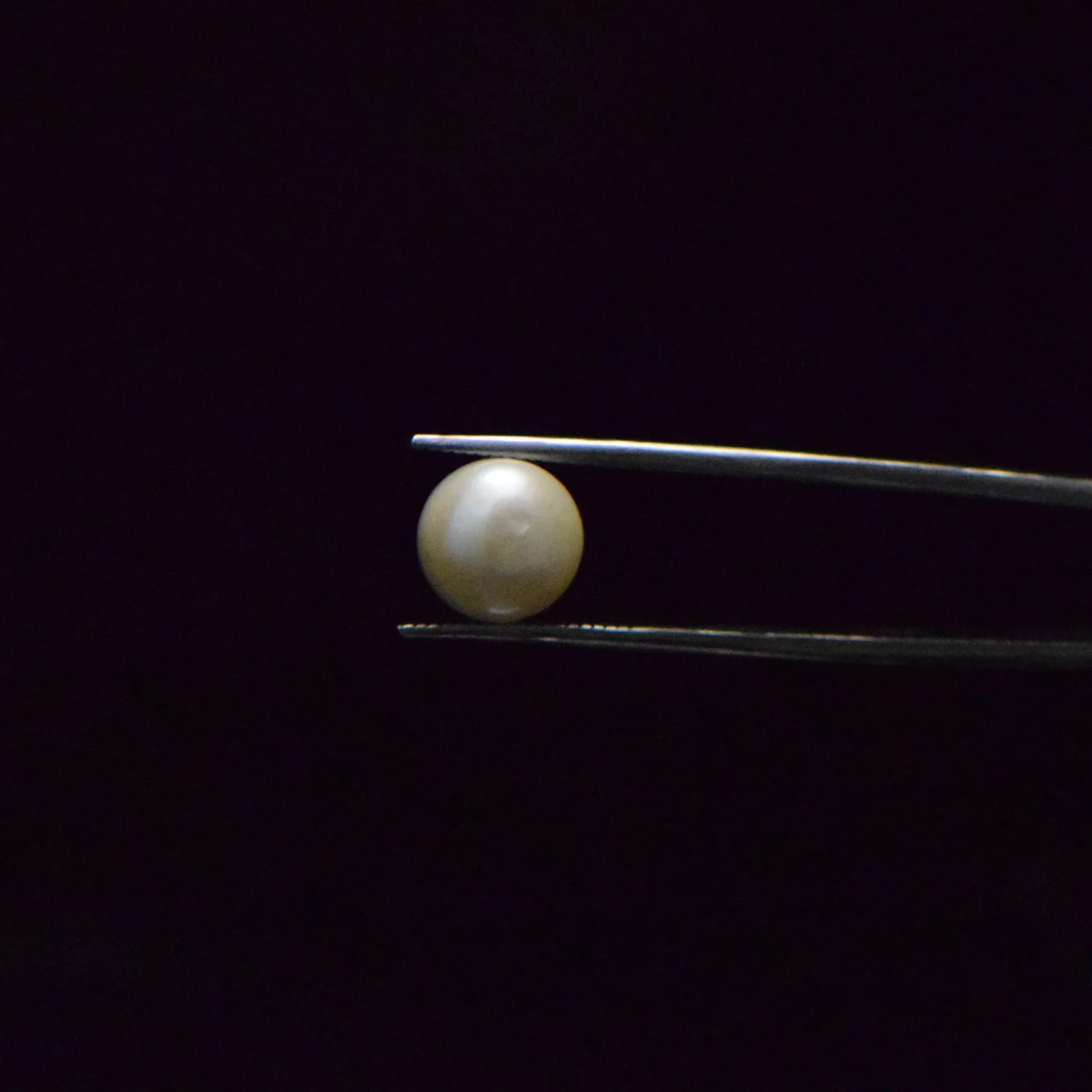 Fresh Water Pearl - 7.06 Carat