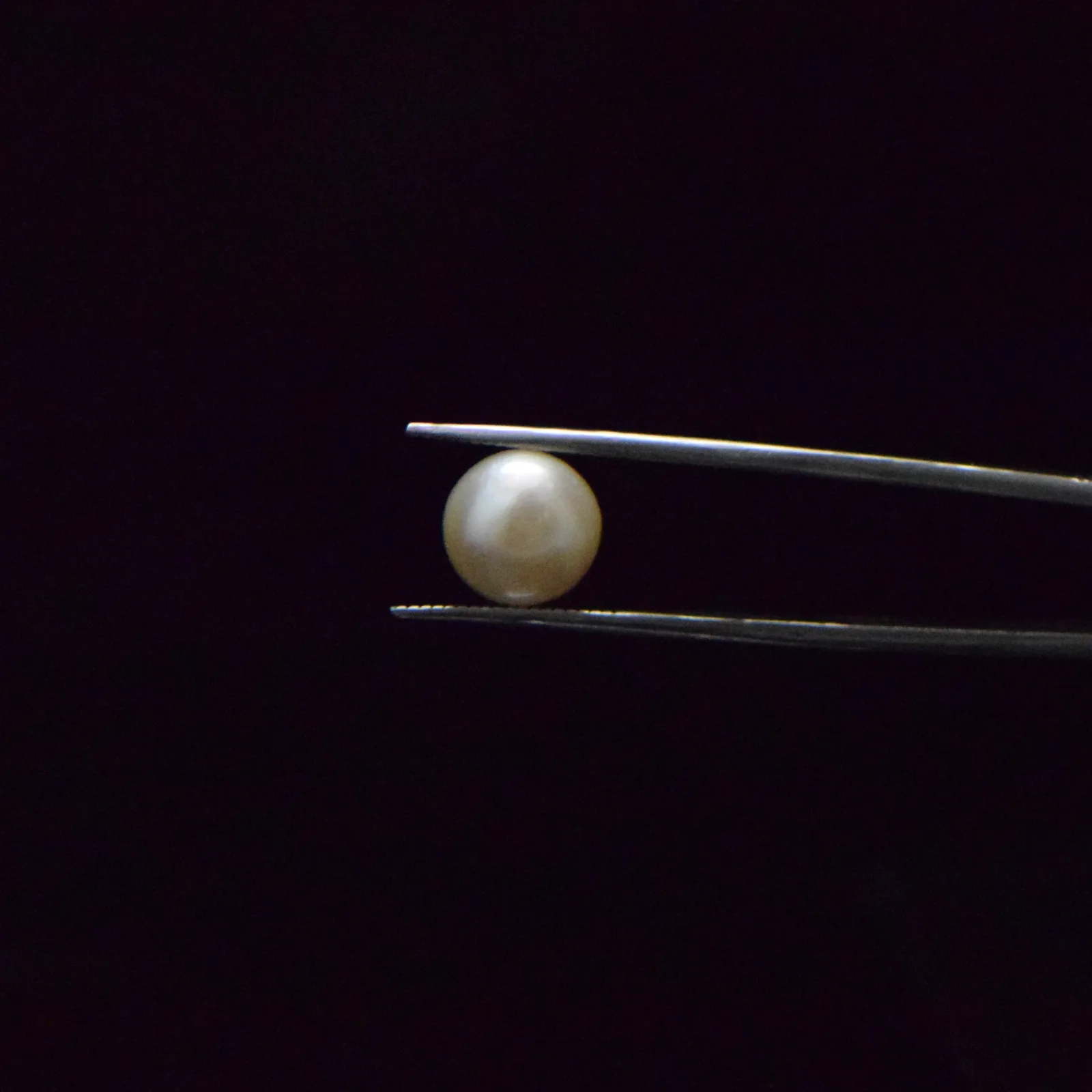 Fresh Water Pearl - 6.43 Carat