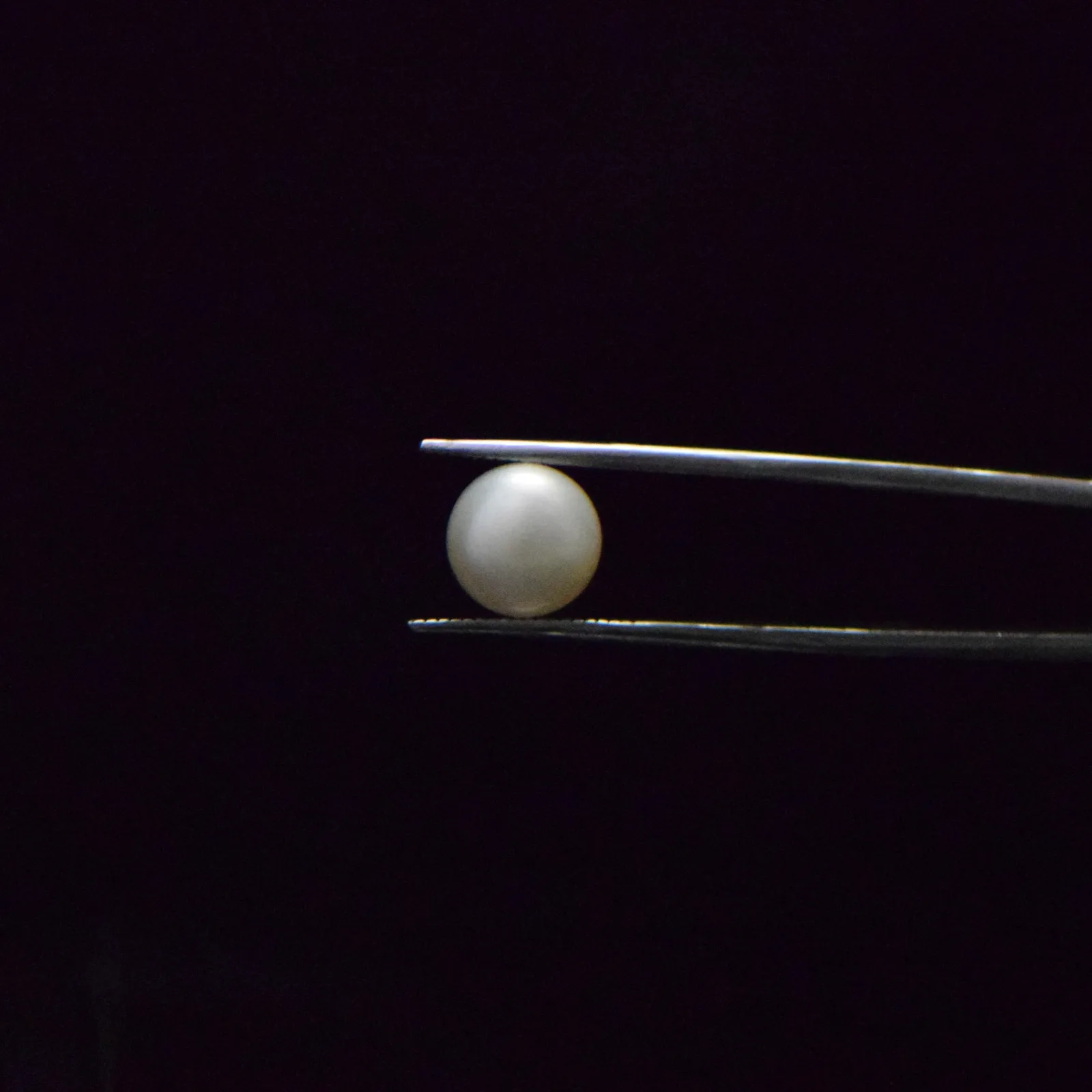 Fresh Water Pearl - 6 Carat