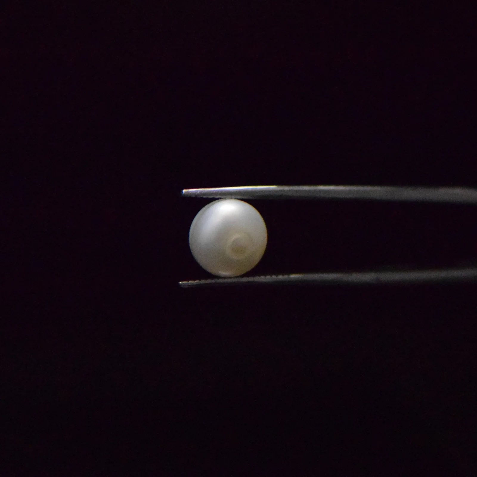 Fresh Water Pearl - 5.44 Carat