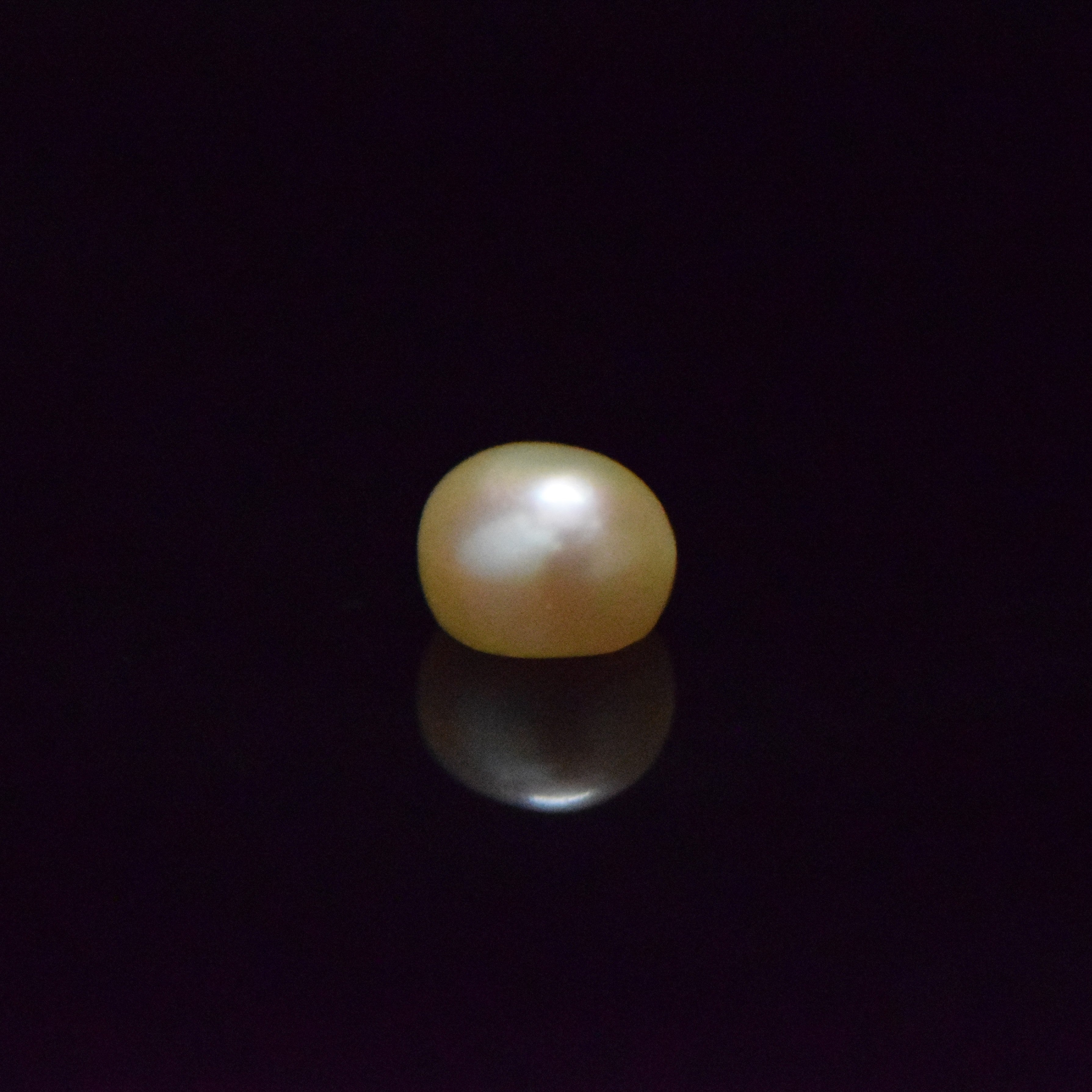 Fresh Water Pearl - 6.27 Carat