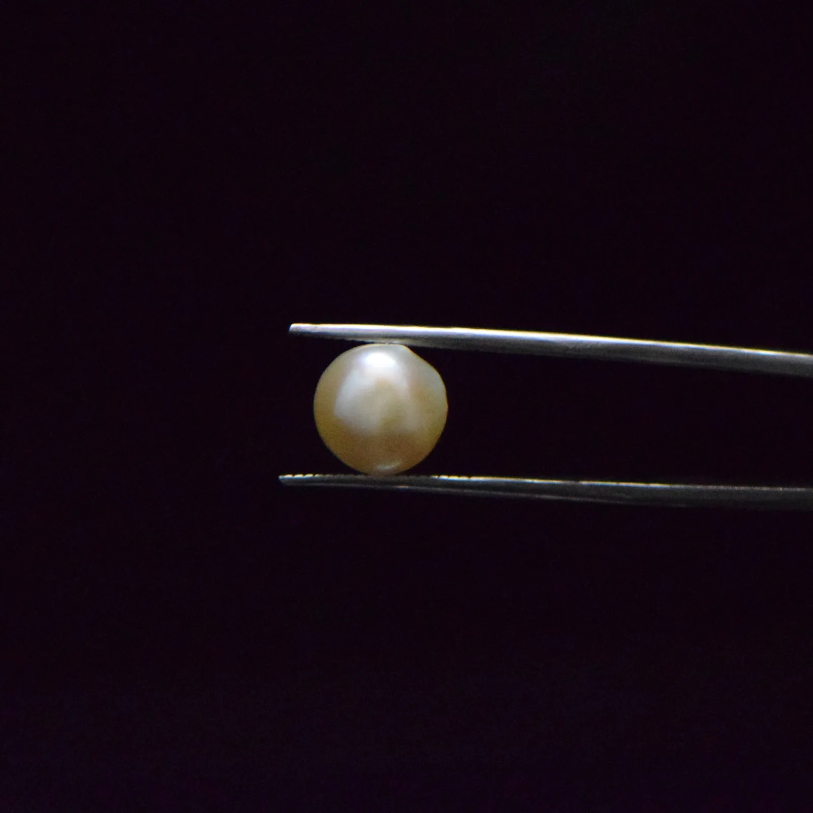 Fresh Water Pearl - 6.27 Carat