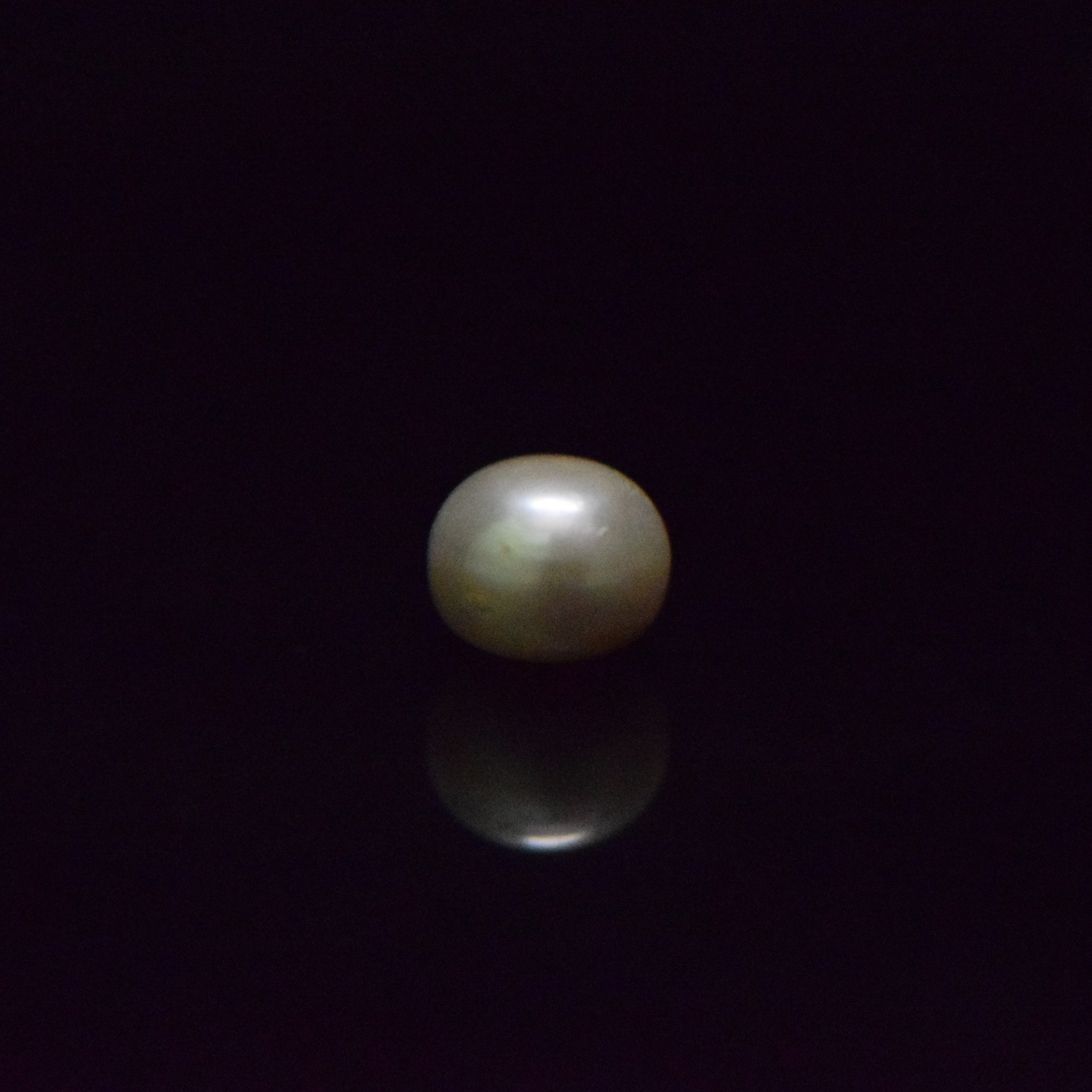 Fresh Water Pearl - 5.96 Carat