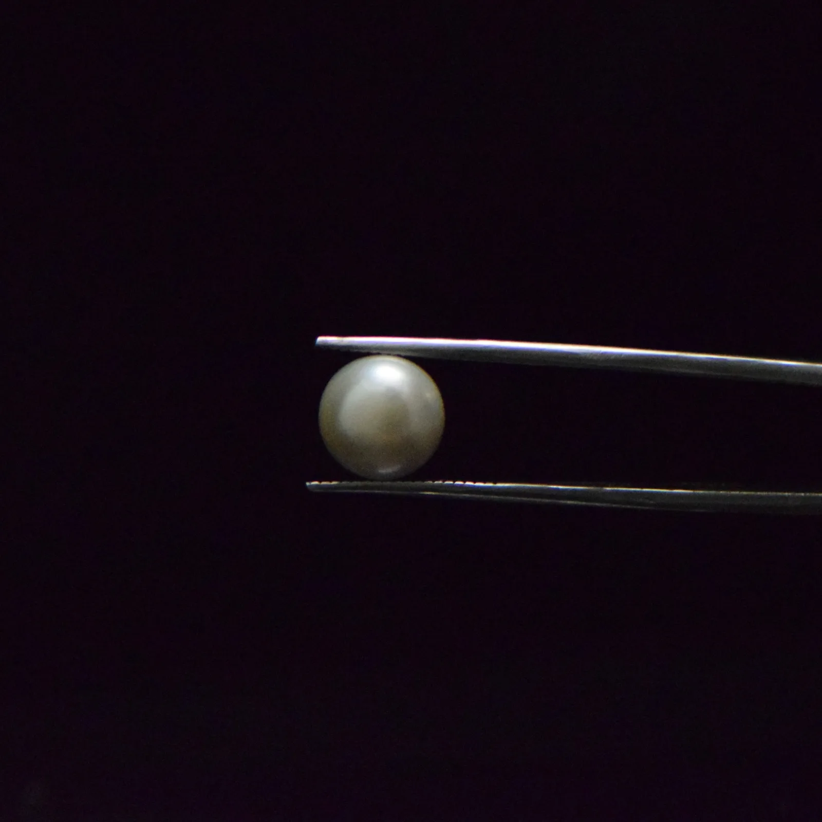 Fresh Water Pearl - 5.96 Carat