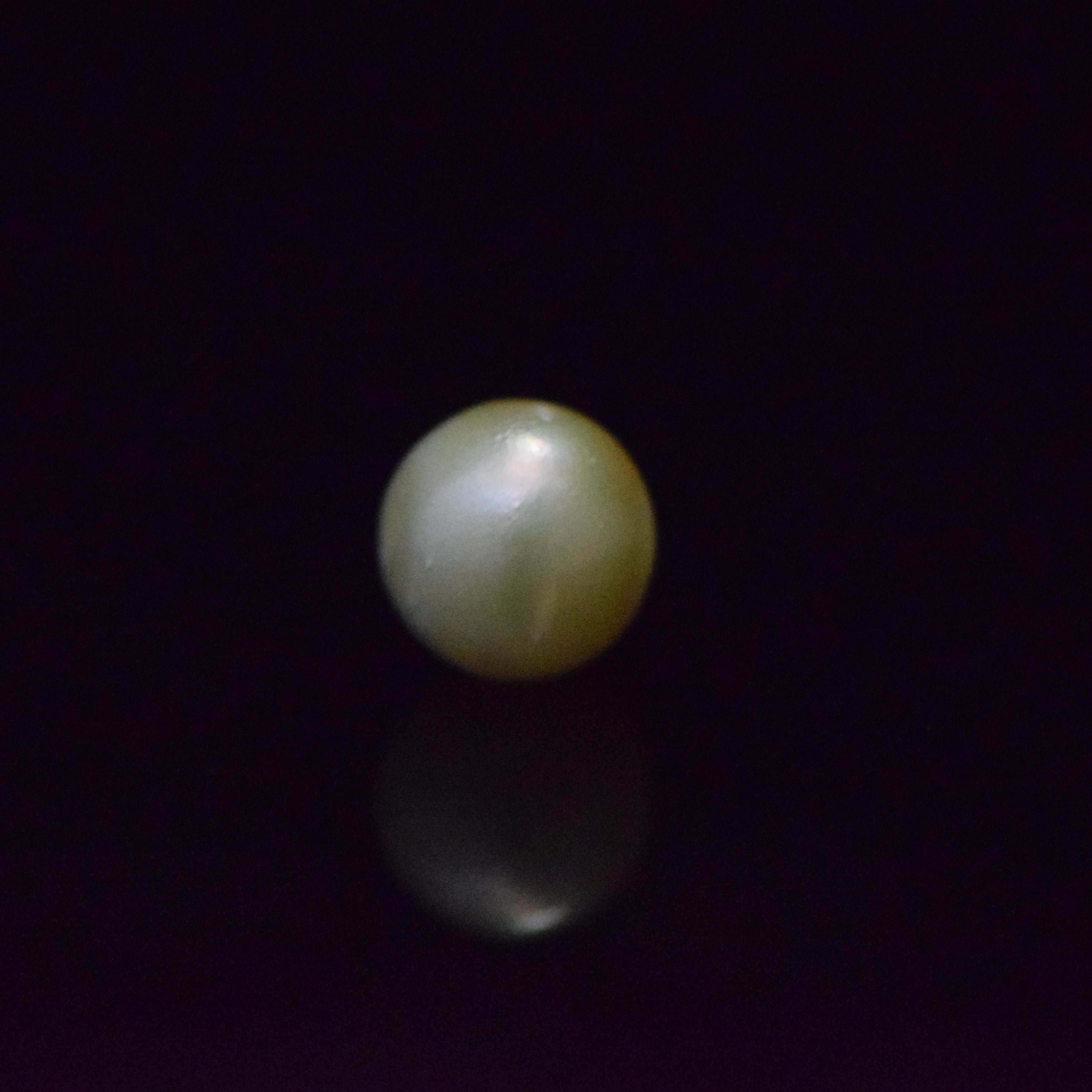 South Sea Pearl - 8.57 Carat