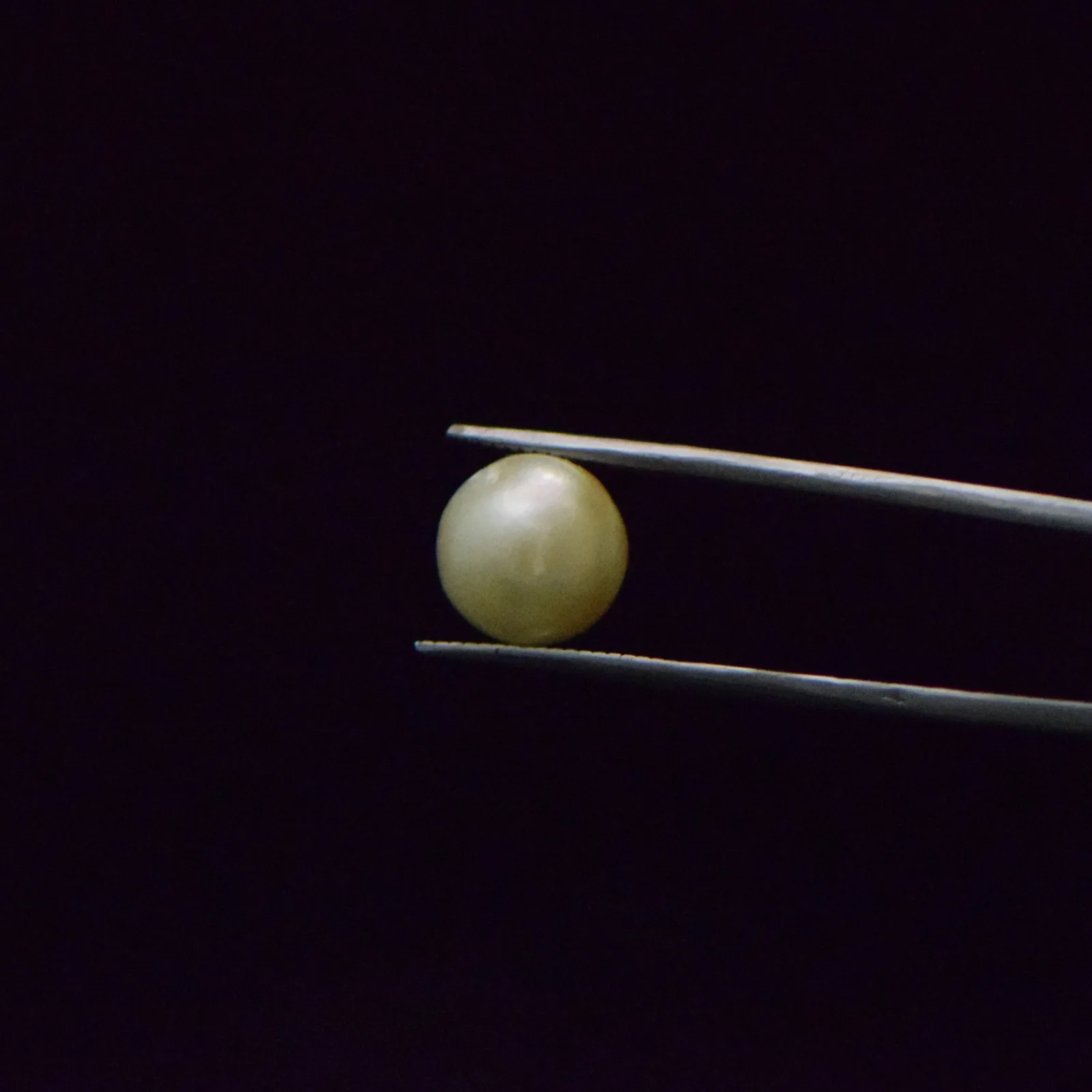 South Sea Pearl - 8.57 Carat