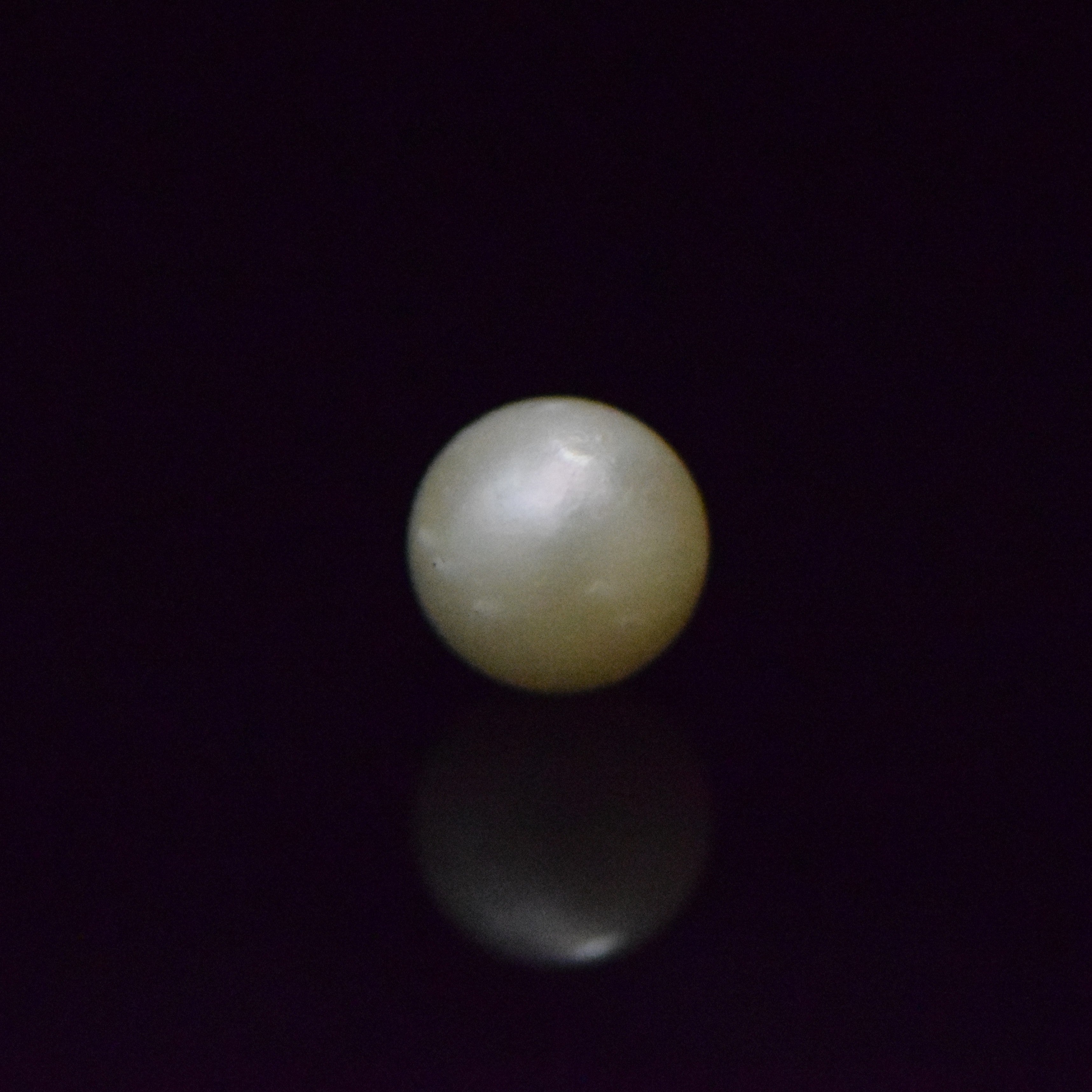 South Sea Pearl - 8.36 Carat