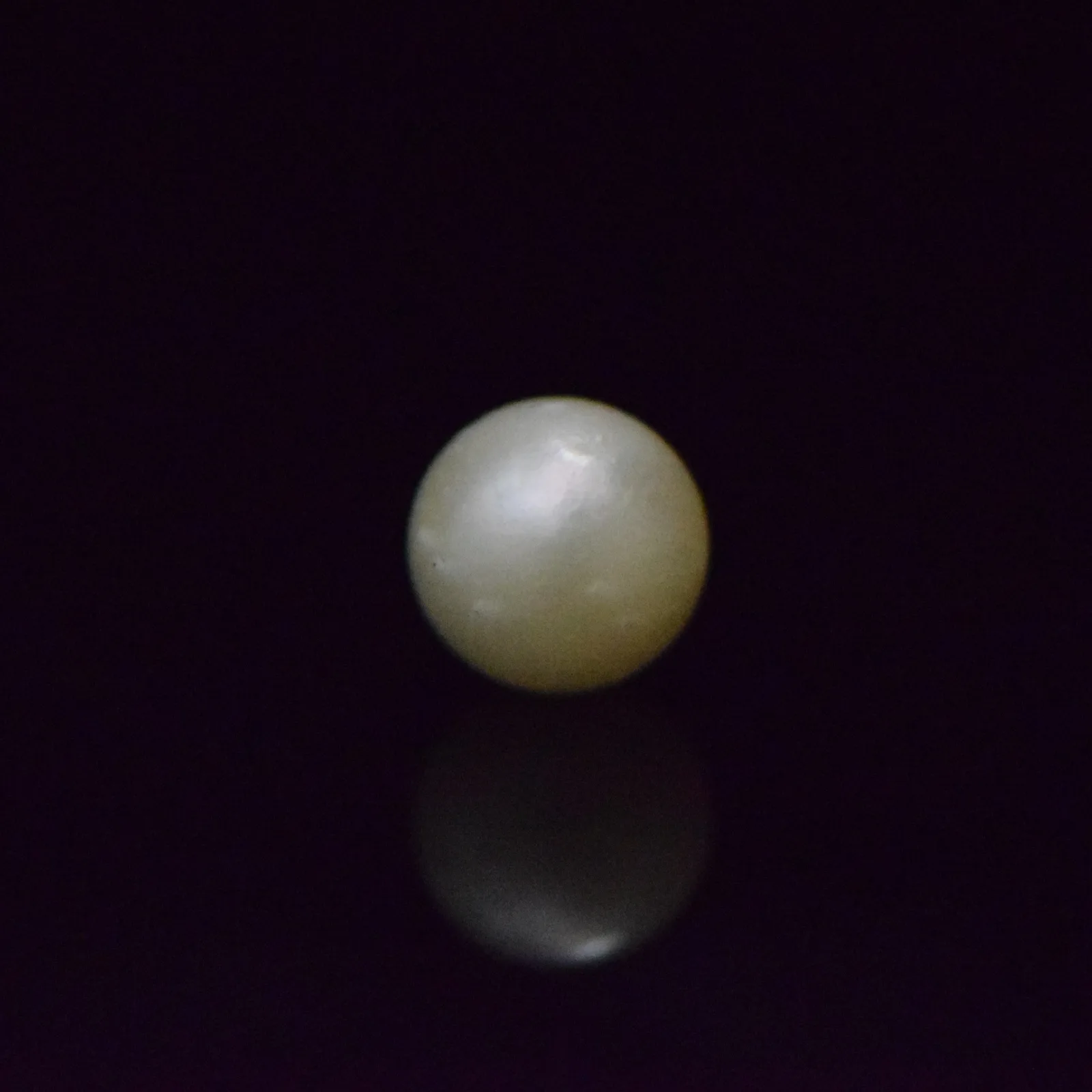 South Sea Pearl - 8.36 Carat